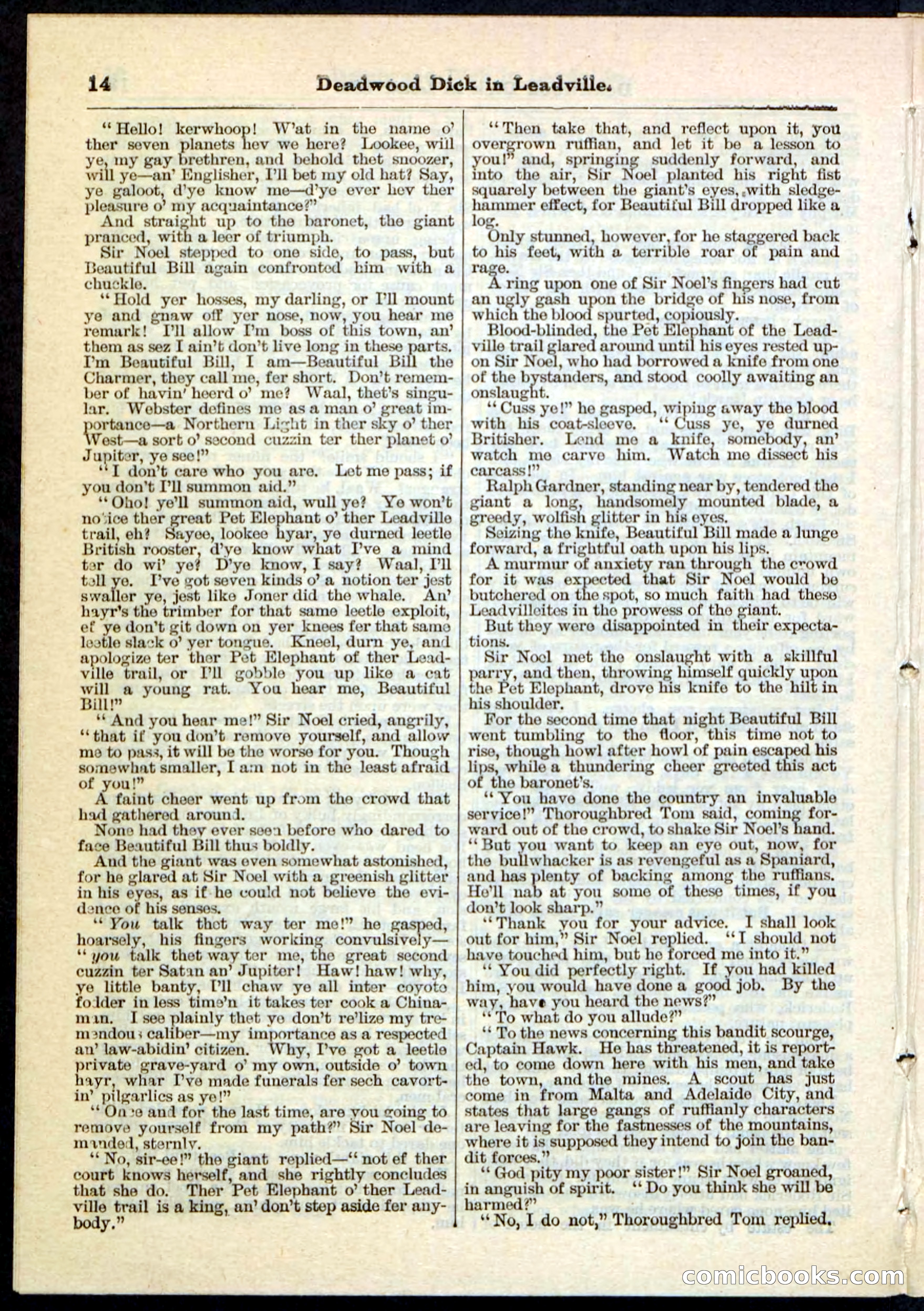 Beadle's Pocket Library No. 88 — page 14 of 32