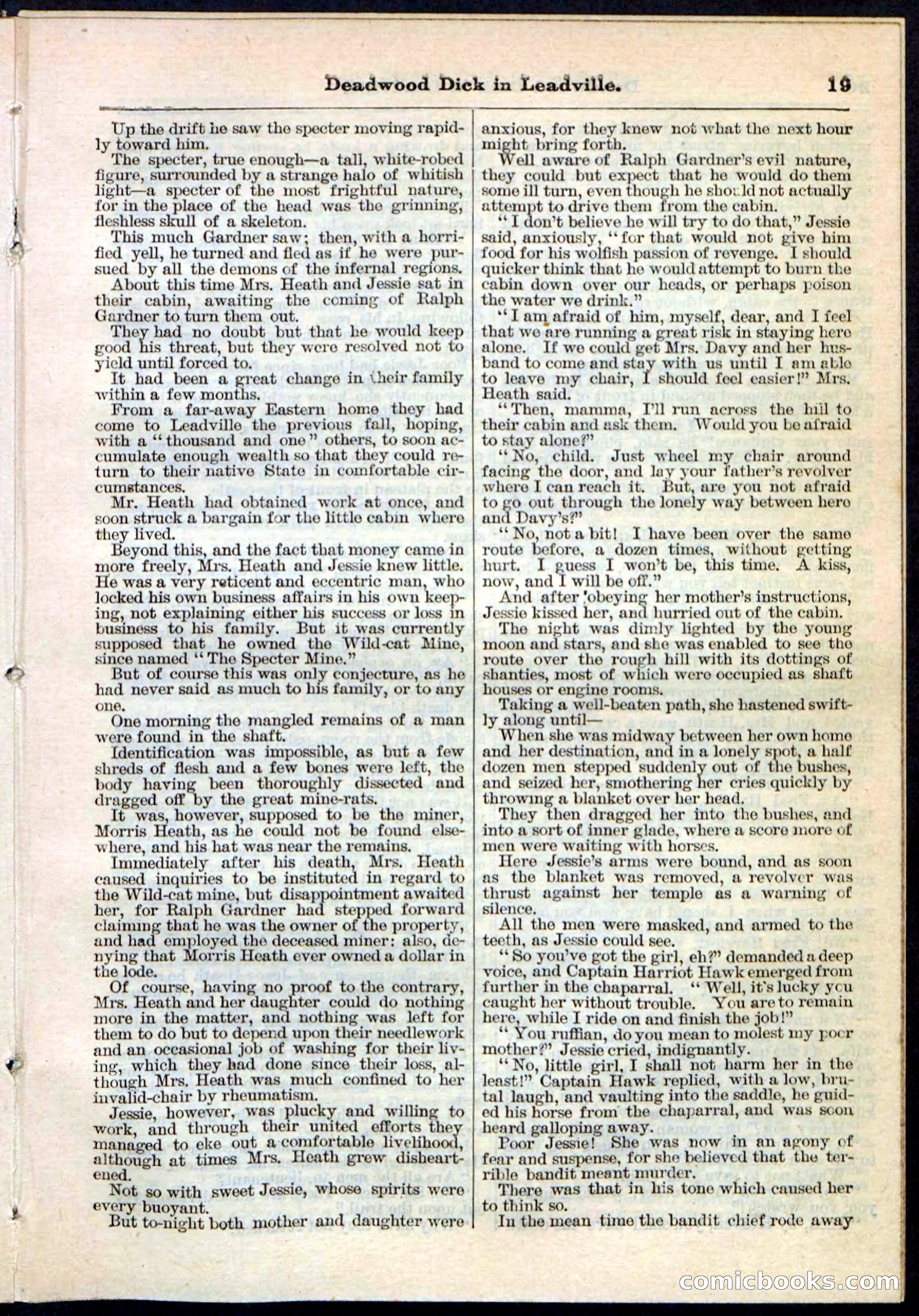 Beadle's Pocket Library No. 88 — page 19 of 32
