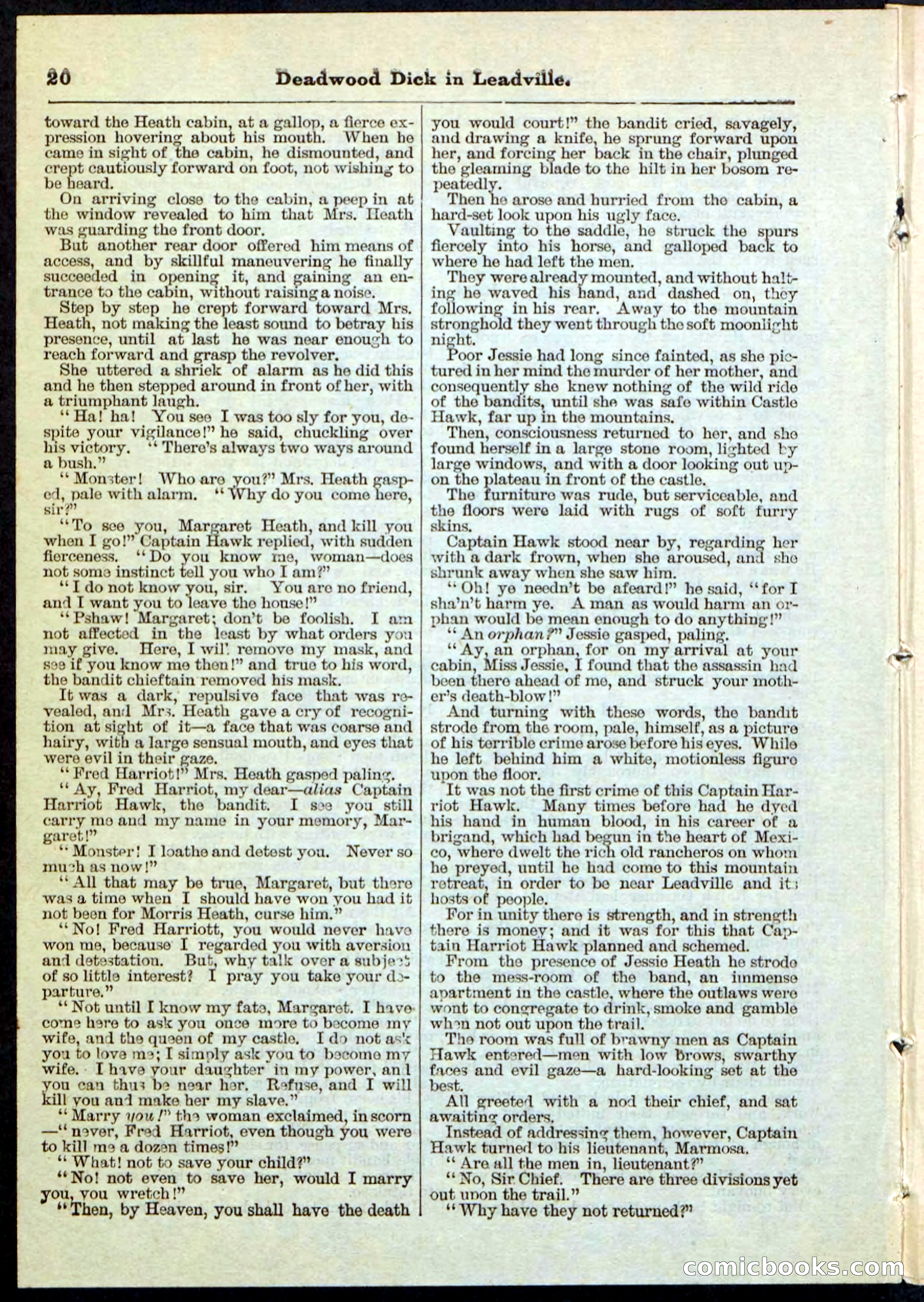 Beadle's Pocket Library No. 88 — page 20 of 32