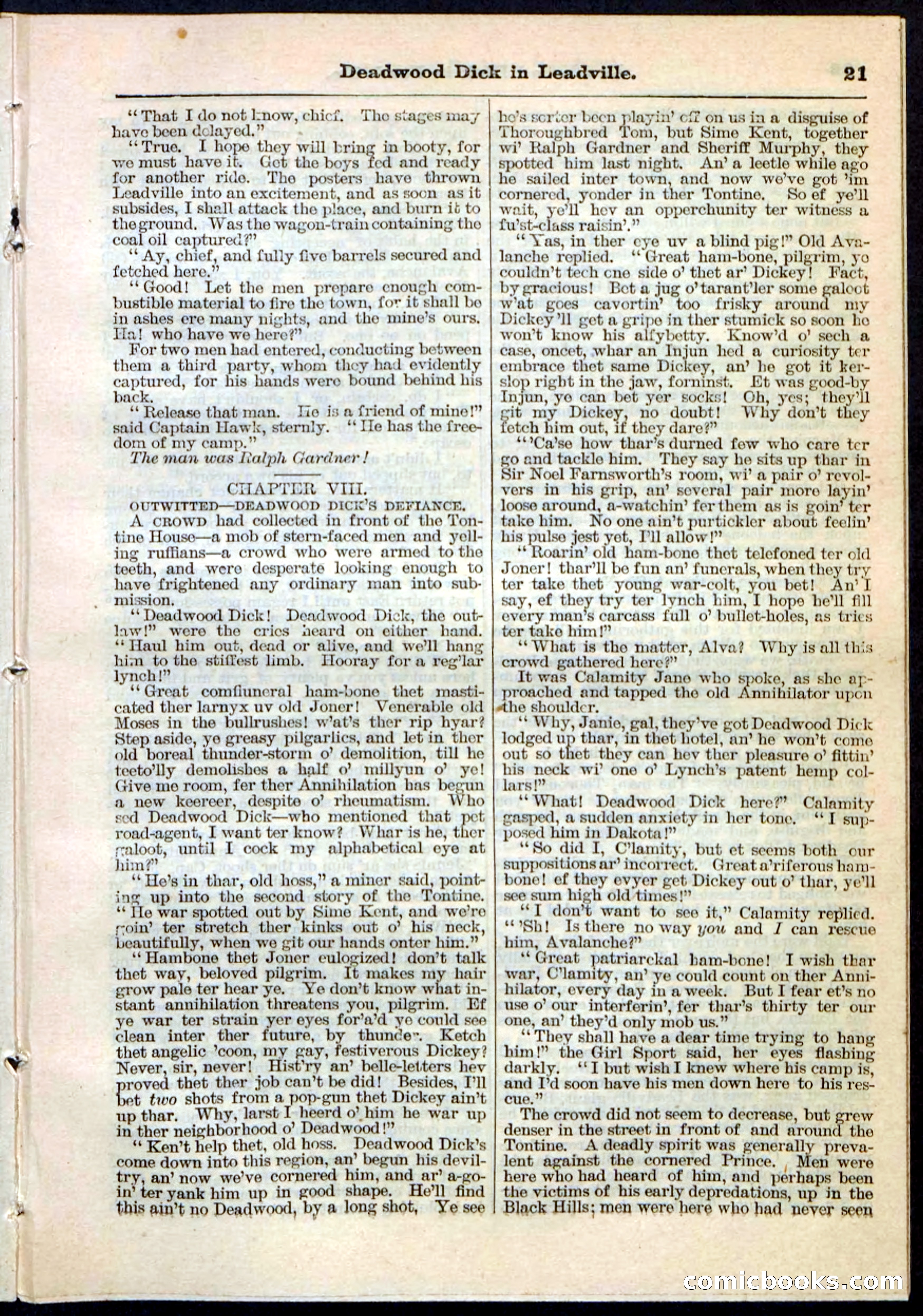 Beadle's Pocket Library No. 88 — page 21 of 32