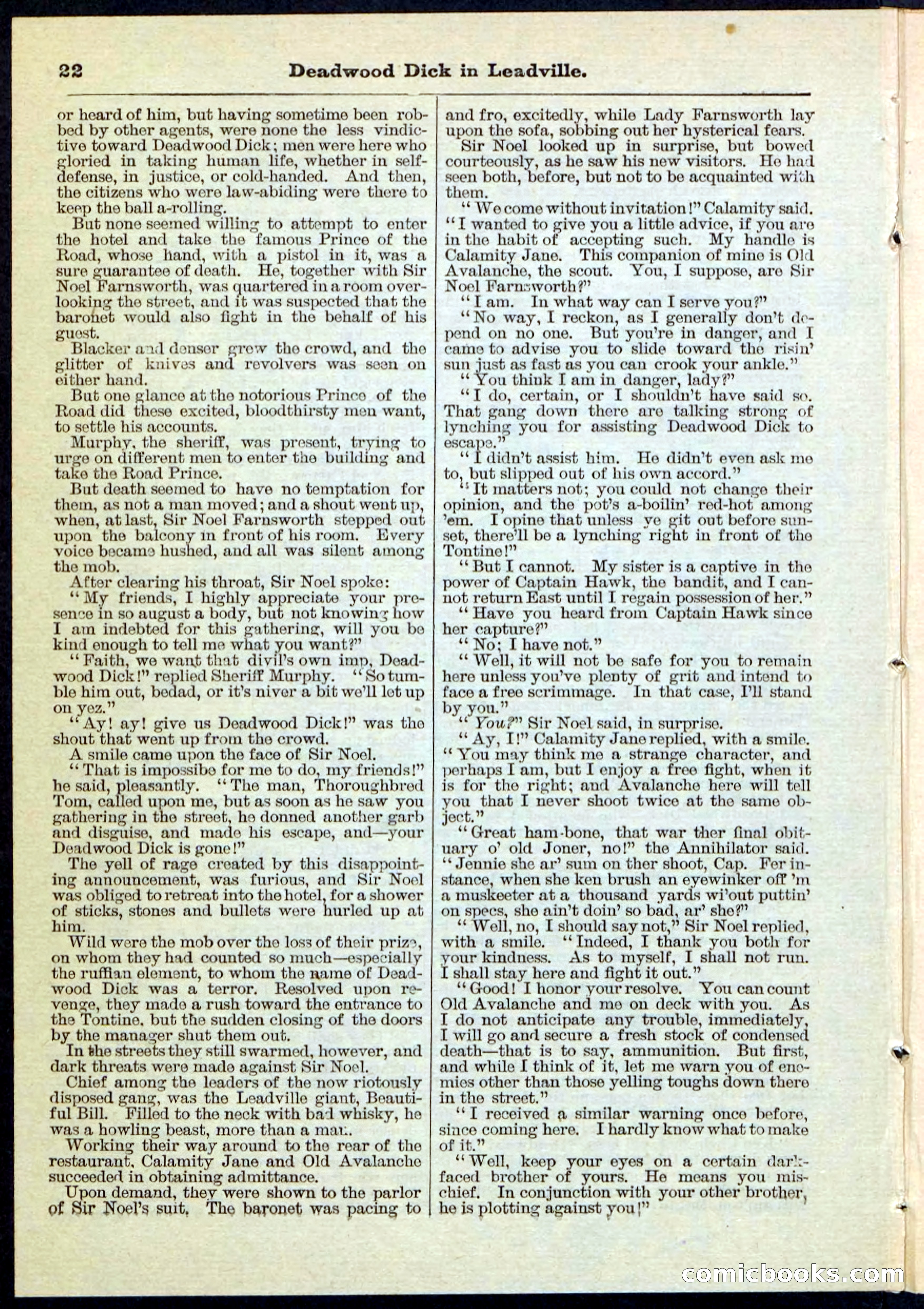 Beadle's Pocket Library No. 88 — page 22 of 32