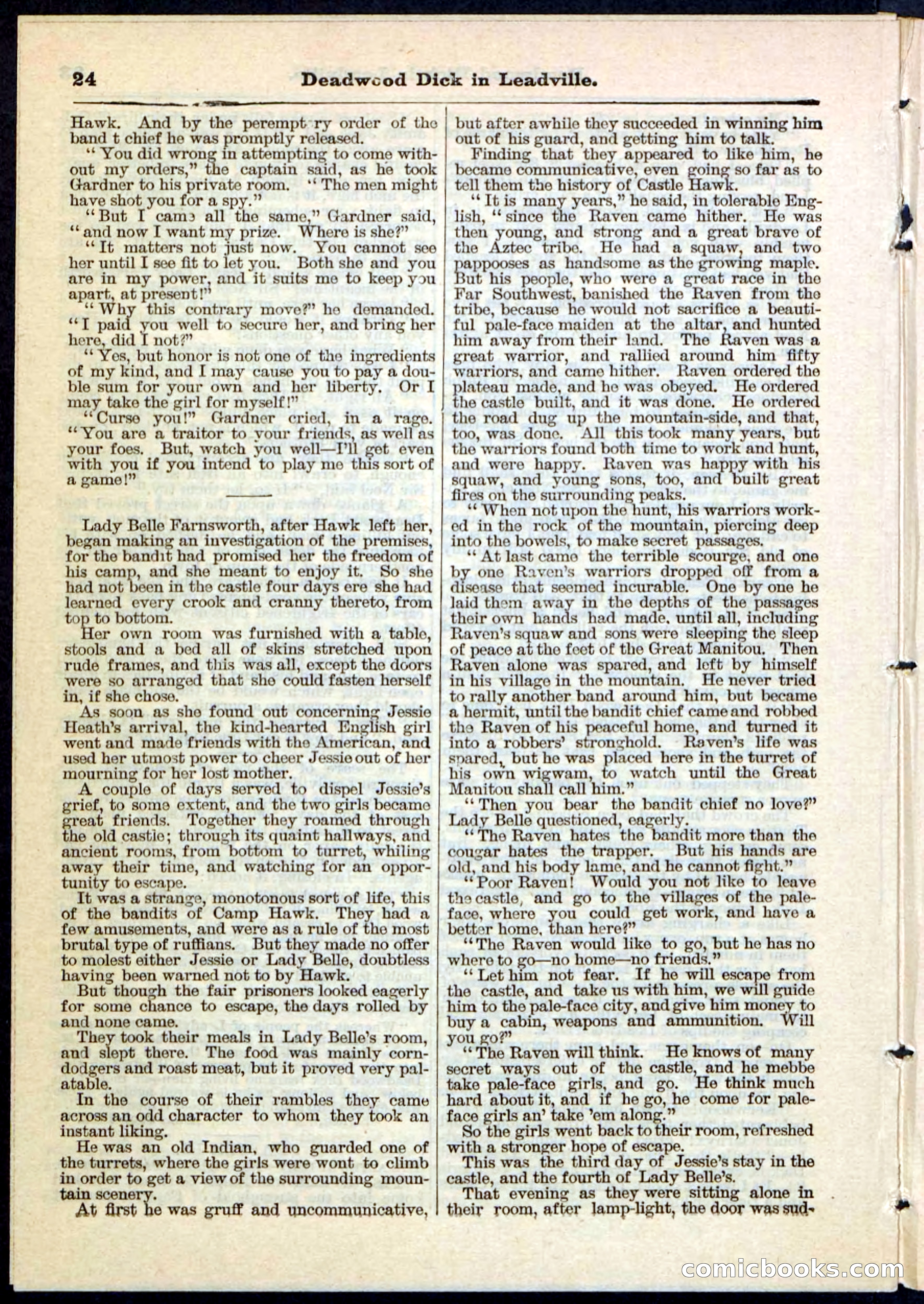Beadle's Pocket Library No. 88 — page 24 of 32