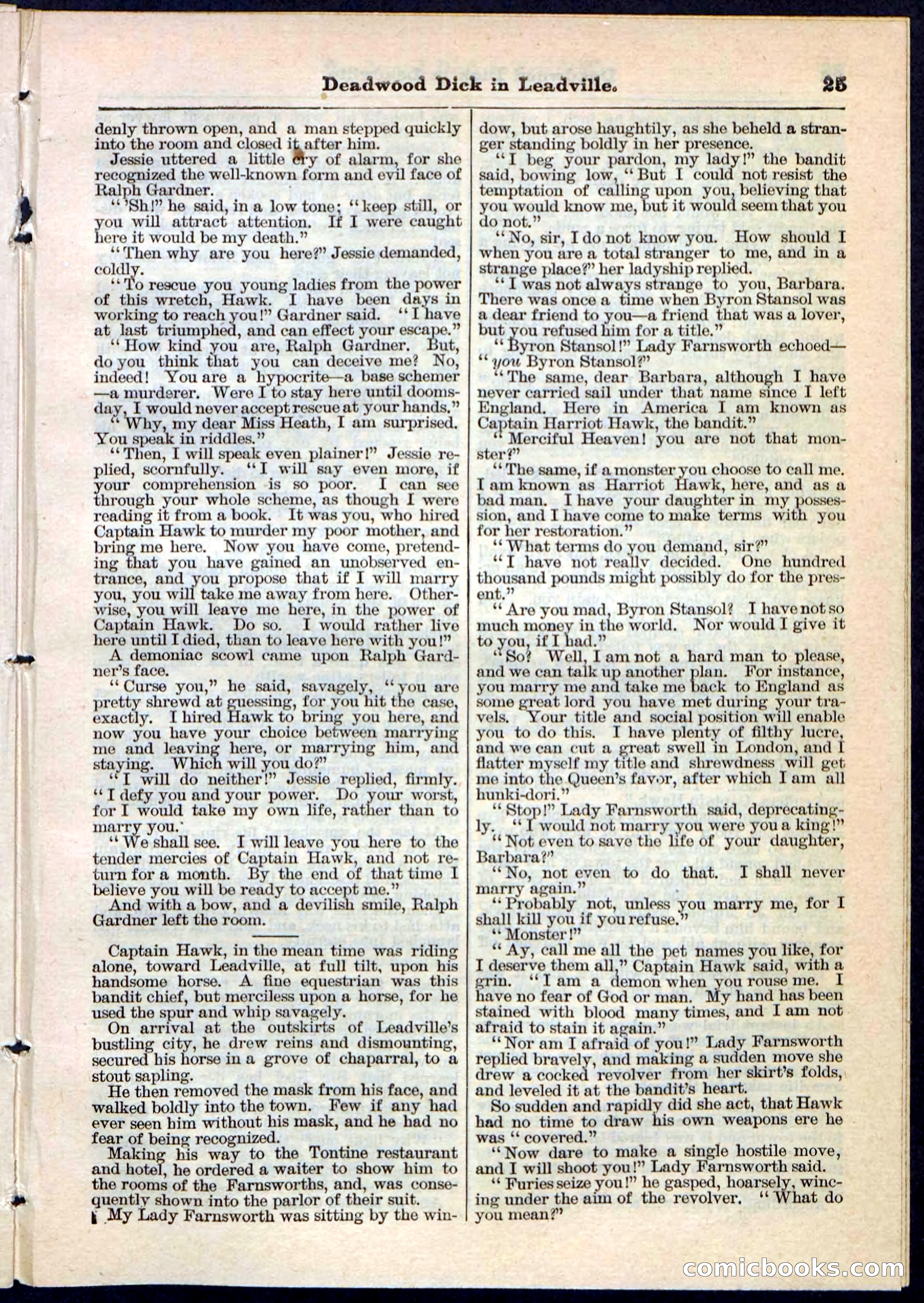 Beadle's Pocket Library No. 88 — page 25 of 32