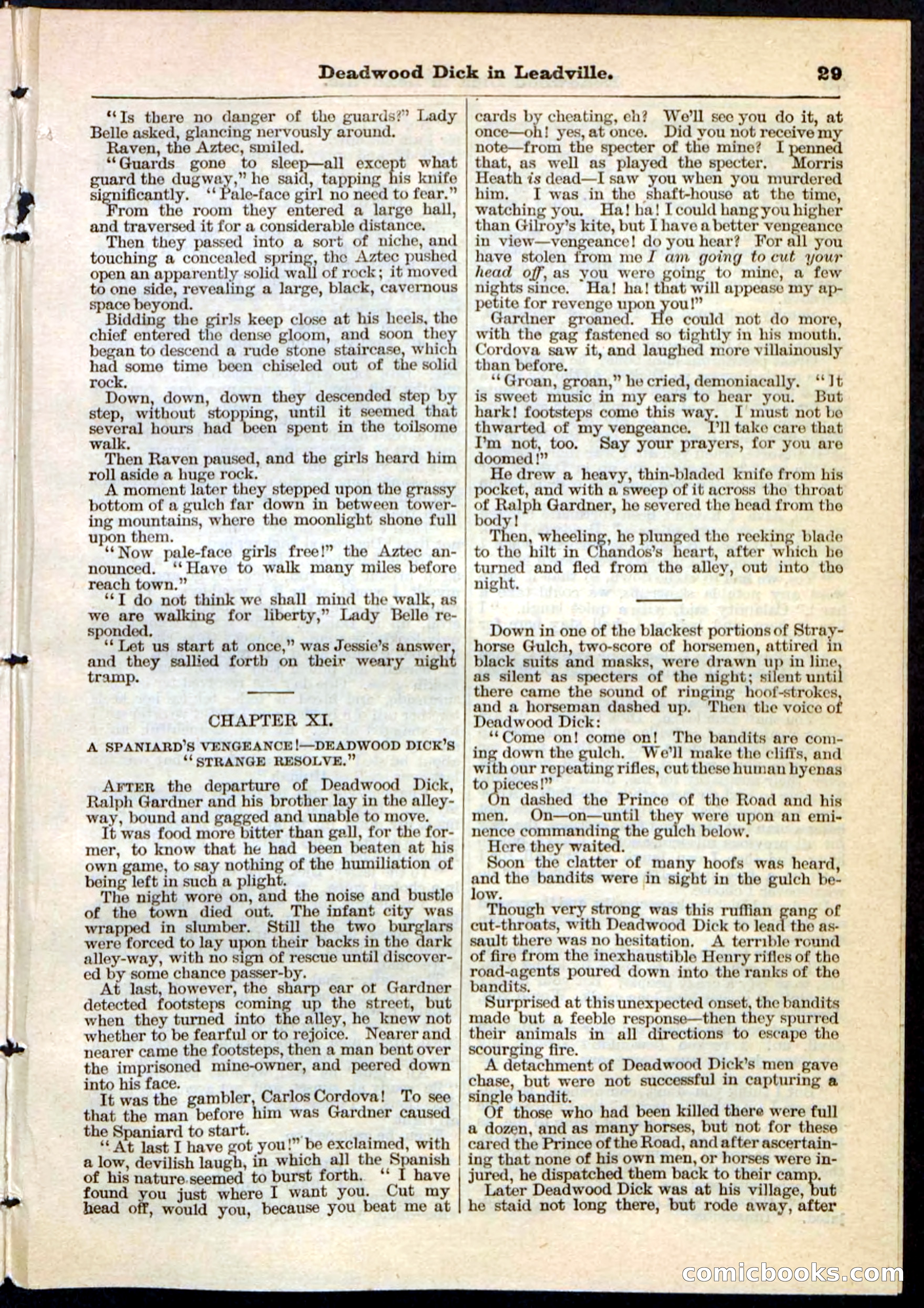 Beadle's Pocket Library No. 88 — page 29 of 32