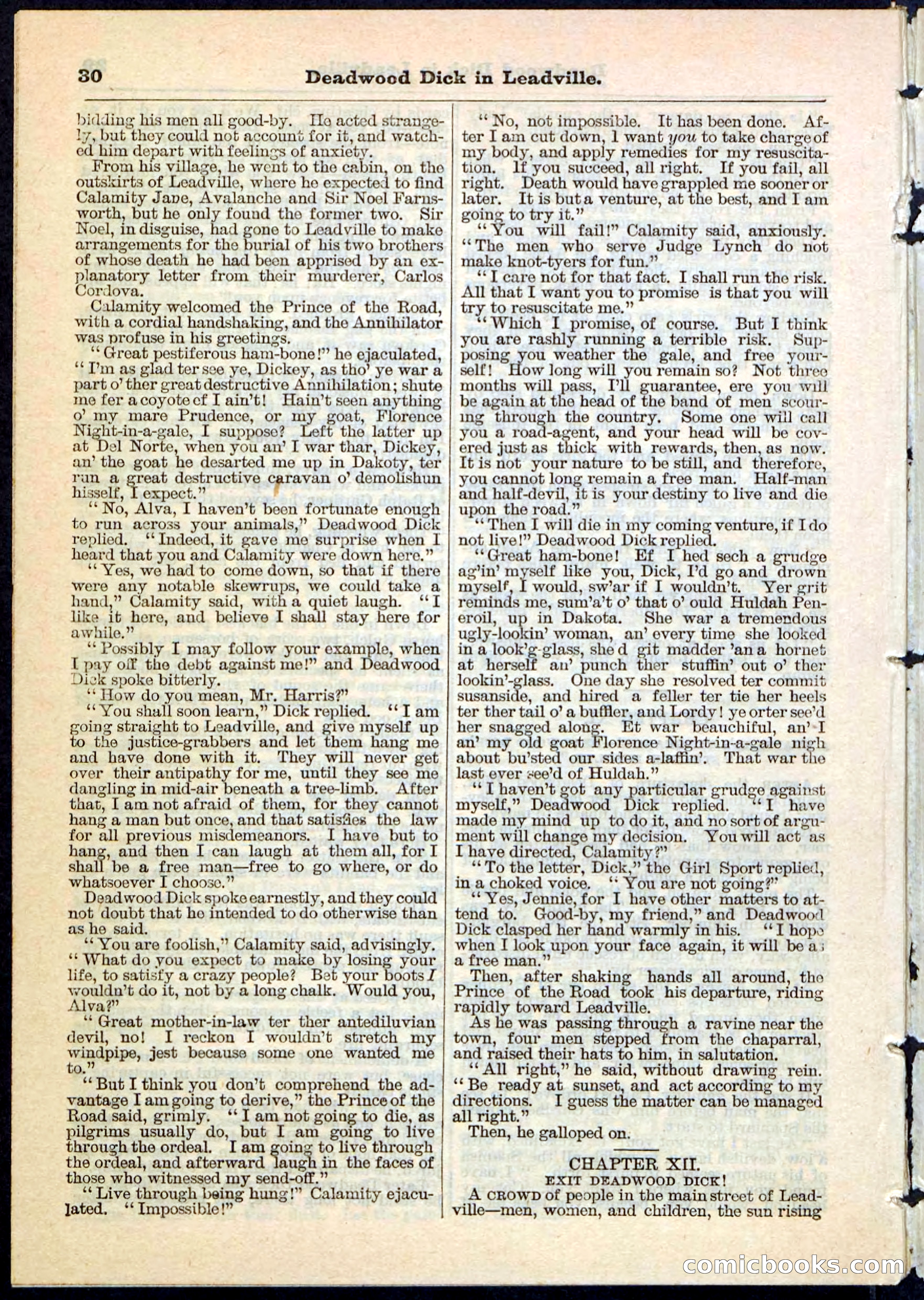 Beadle's Pocket Library No. 88 — page 30 of 32
