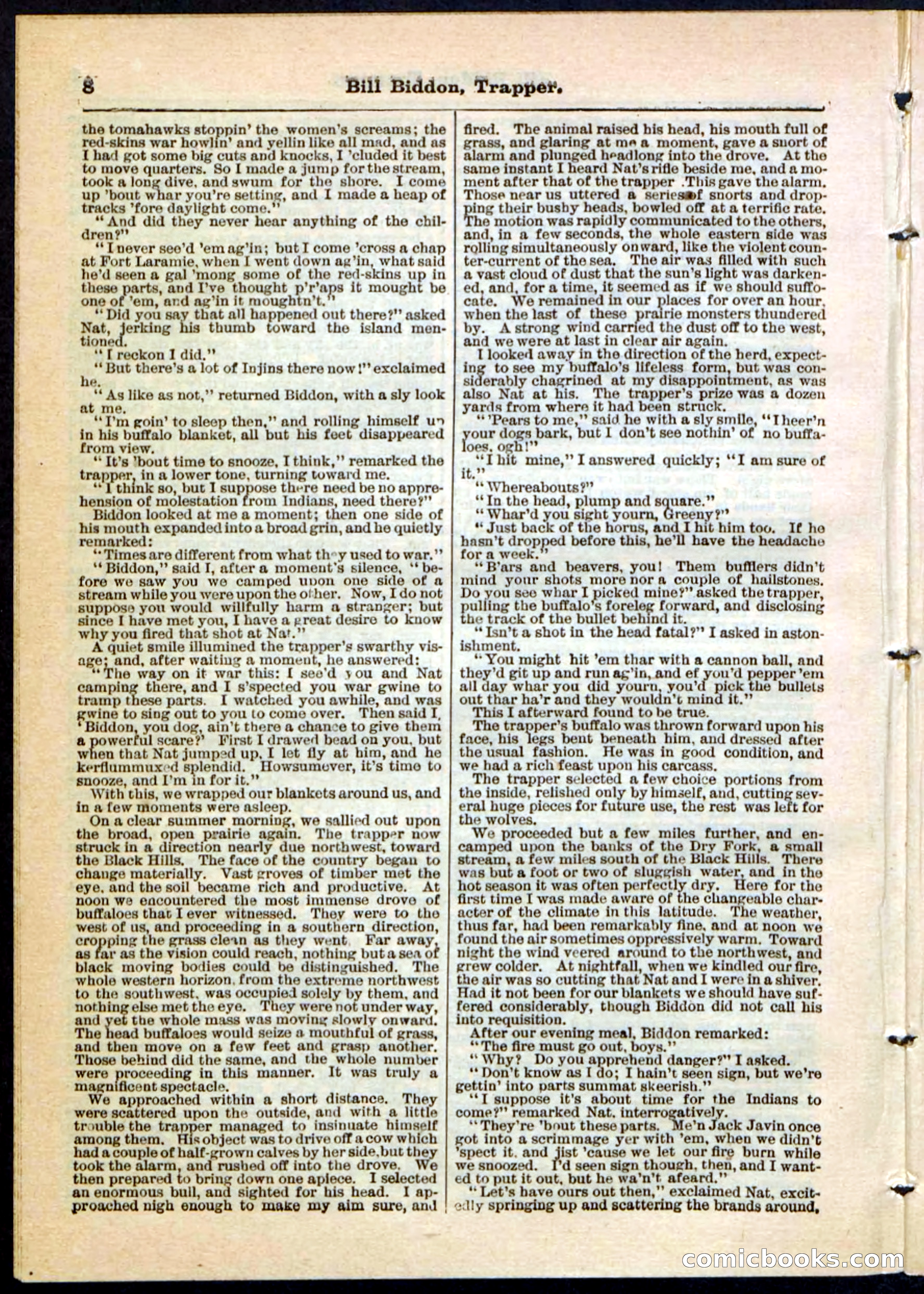 Beadle's Pocket Library No. 89 — page 8 of 32