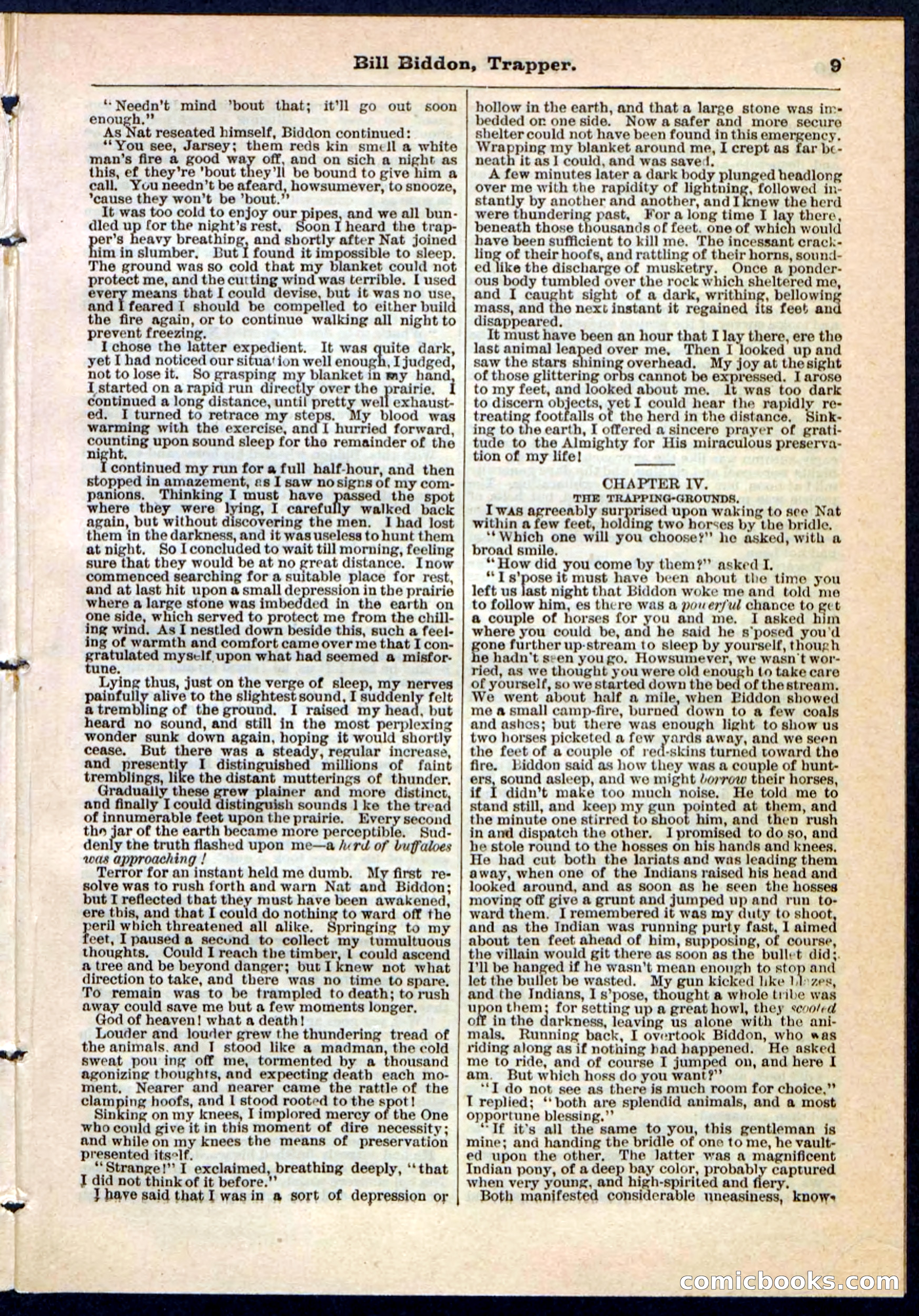 Beadle's Pocket Library No. 89 — page 9 of 32