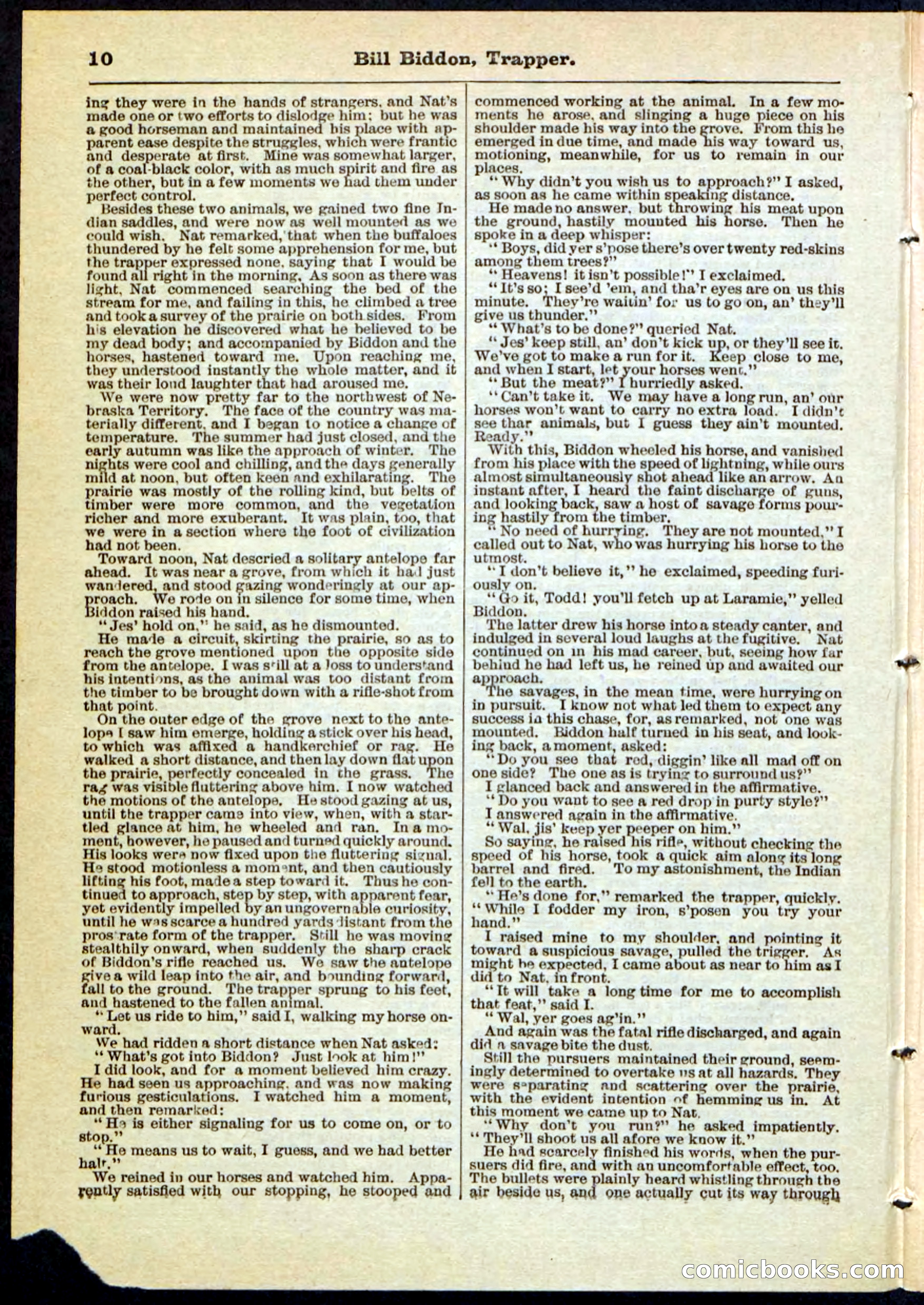 Beadle's Pocket Library No. 89 — page 10 of 32