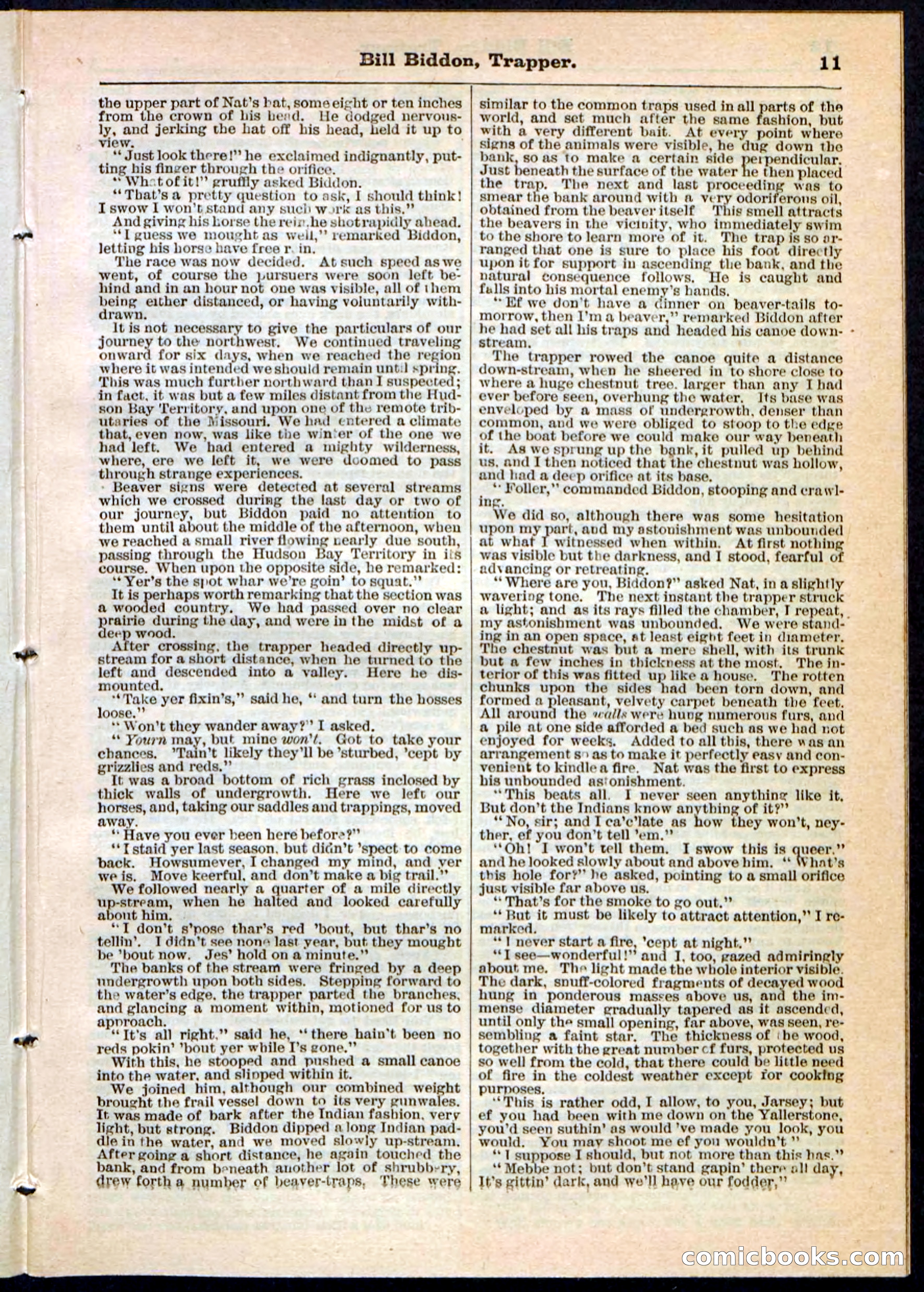 Beadle's Pocket Library No. 89 — page 11 of 32