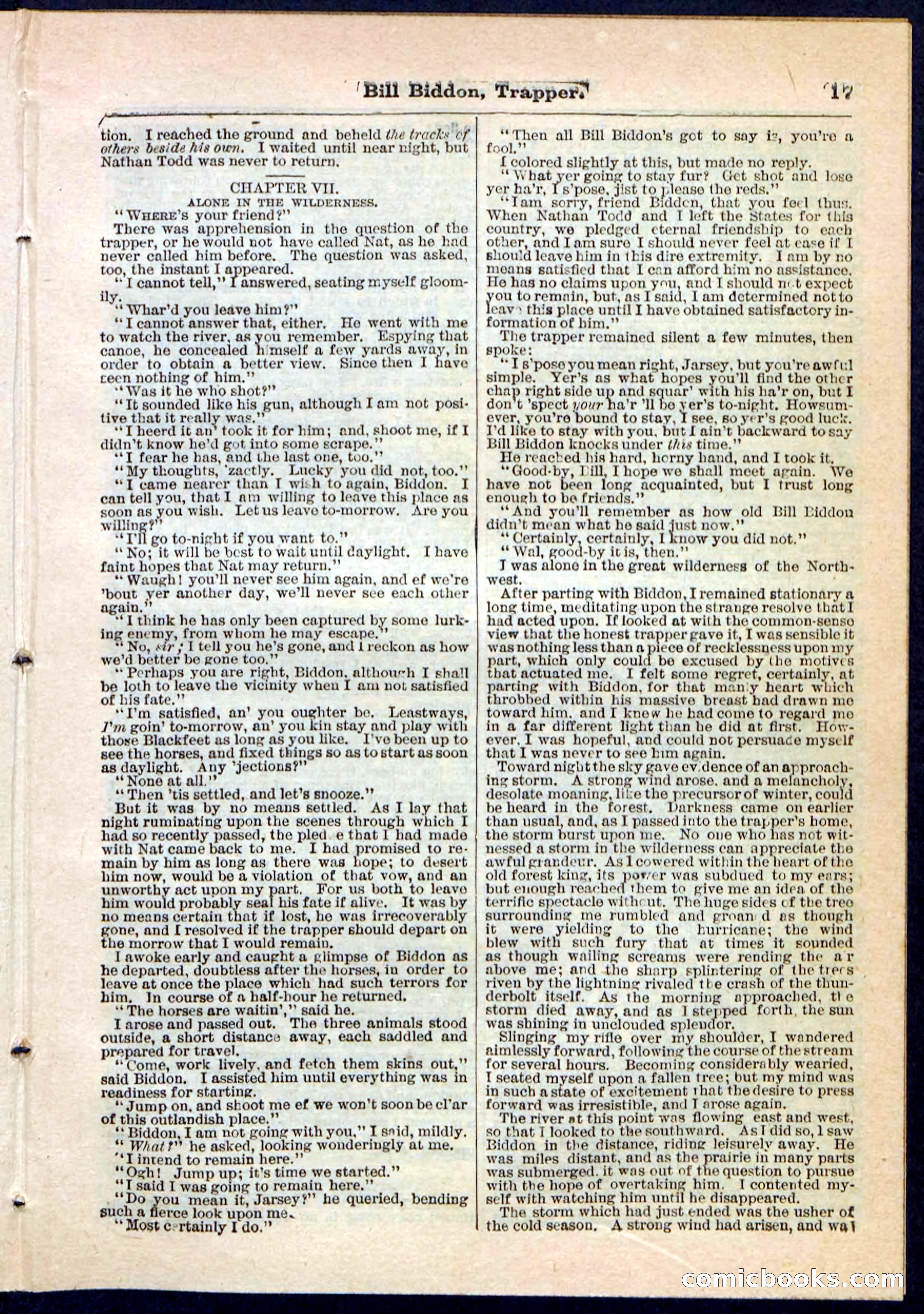 Beadle's Pocket Library No. 89 — page 17 of 32
