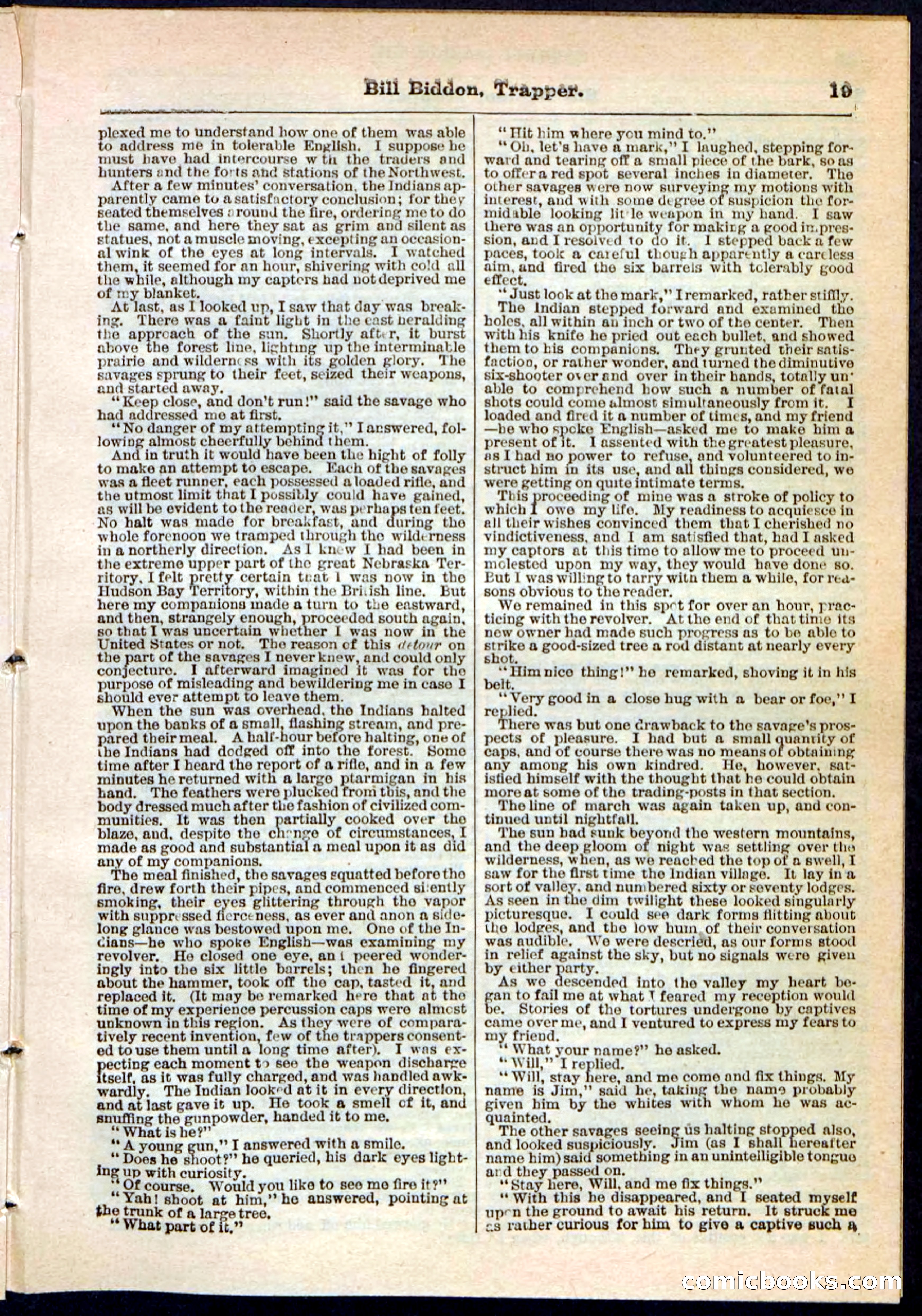 Beadle's Pocket Library No. 89 — page 19 of 32