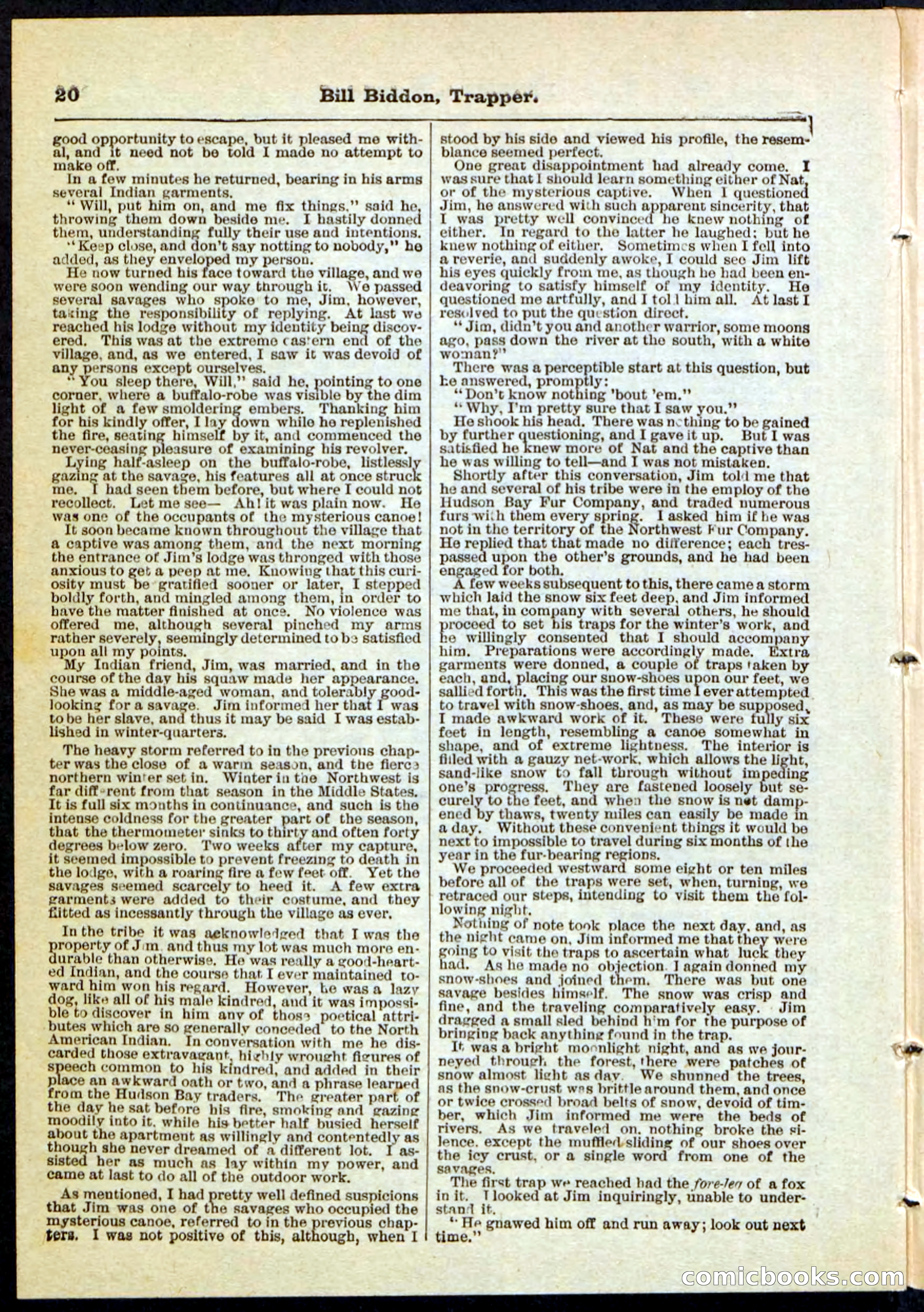 Beadle's Pocket Library No. 89 — page 20 of 32