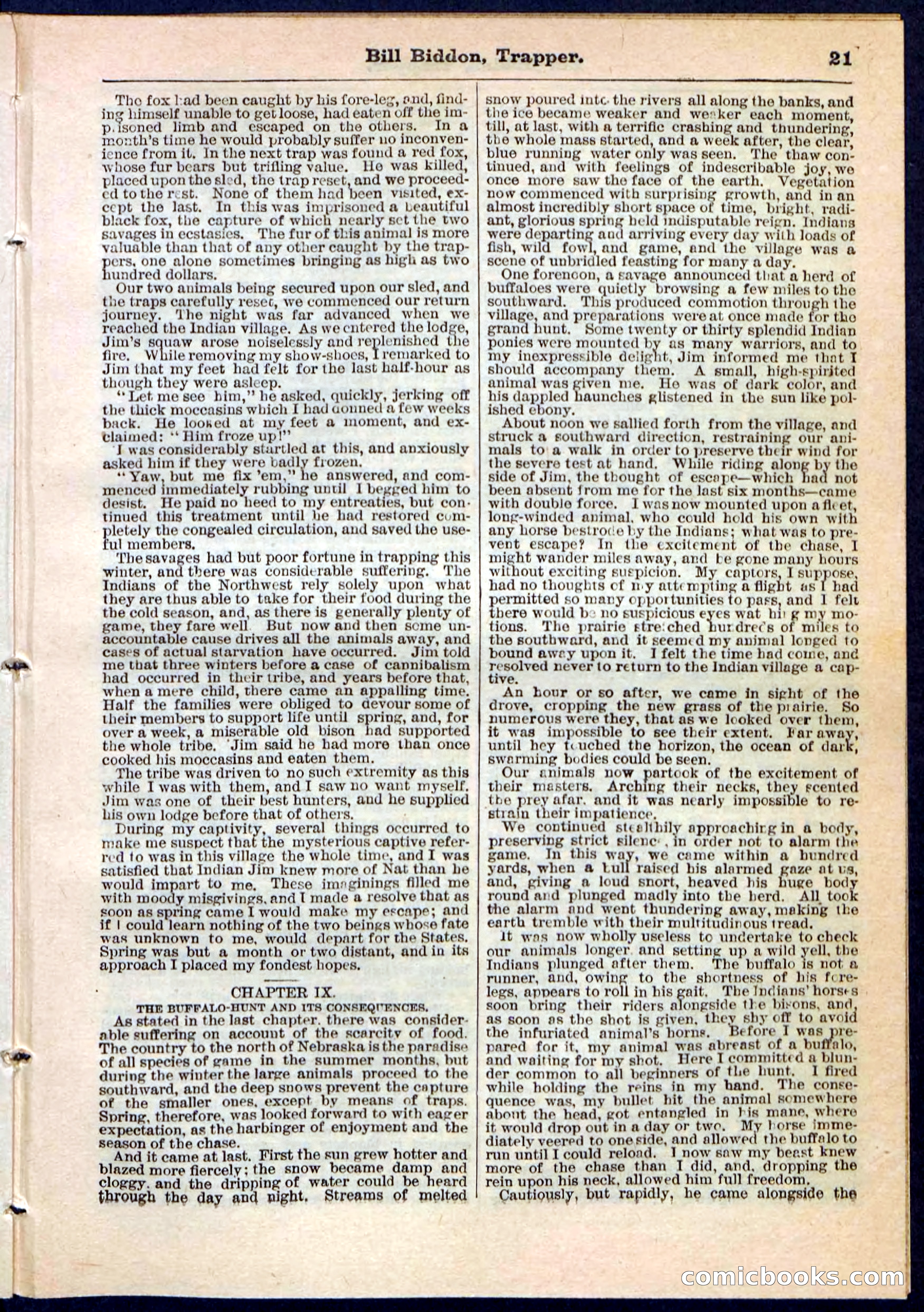 Beadle's Pocket Library No. 89 — page 21 of 32