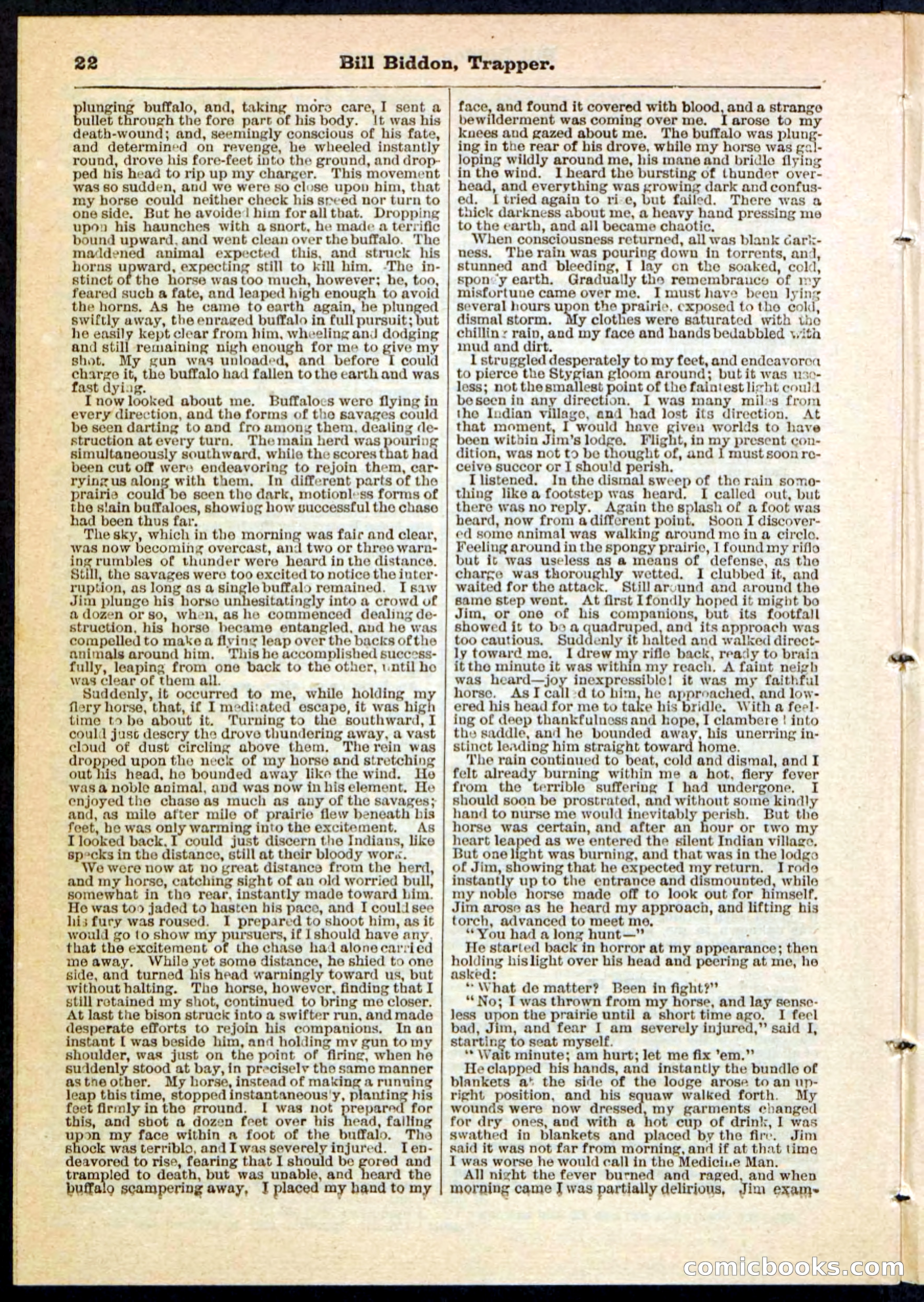 Beadle's Pocket Library No. 89 — page 22 of 32