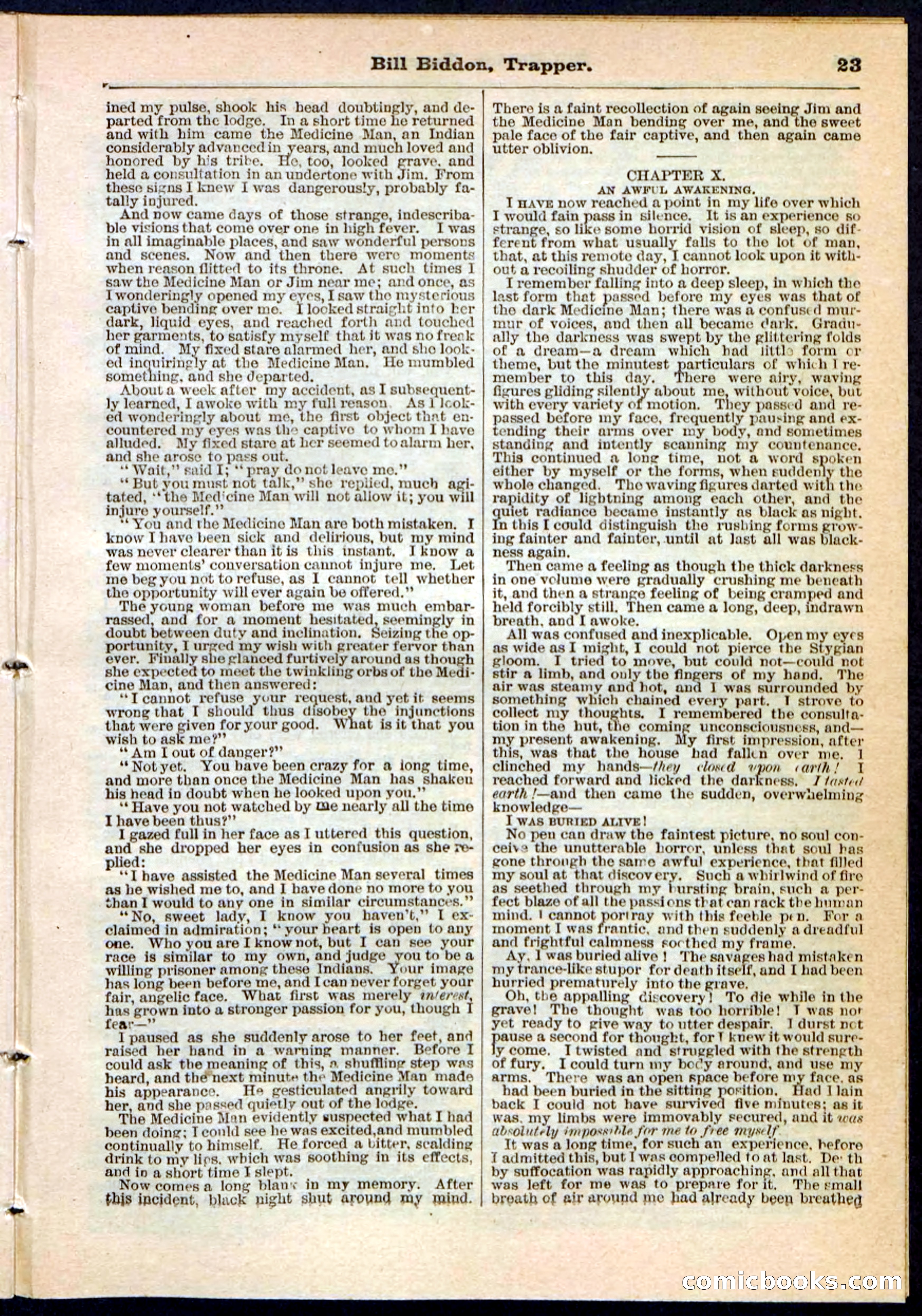 Beadle's Pocket Library No. 89 — page 23 of 32