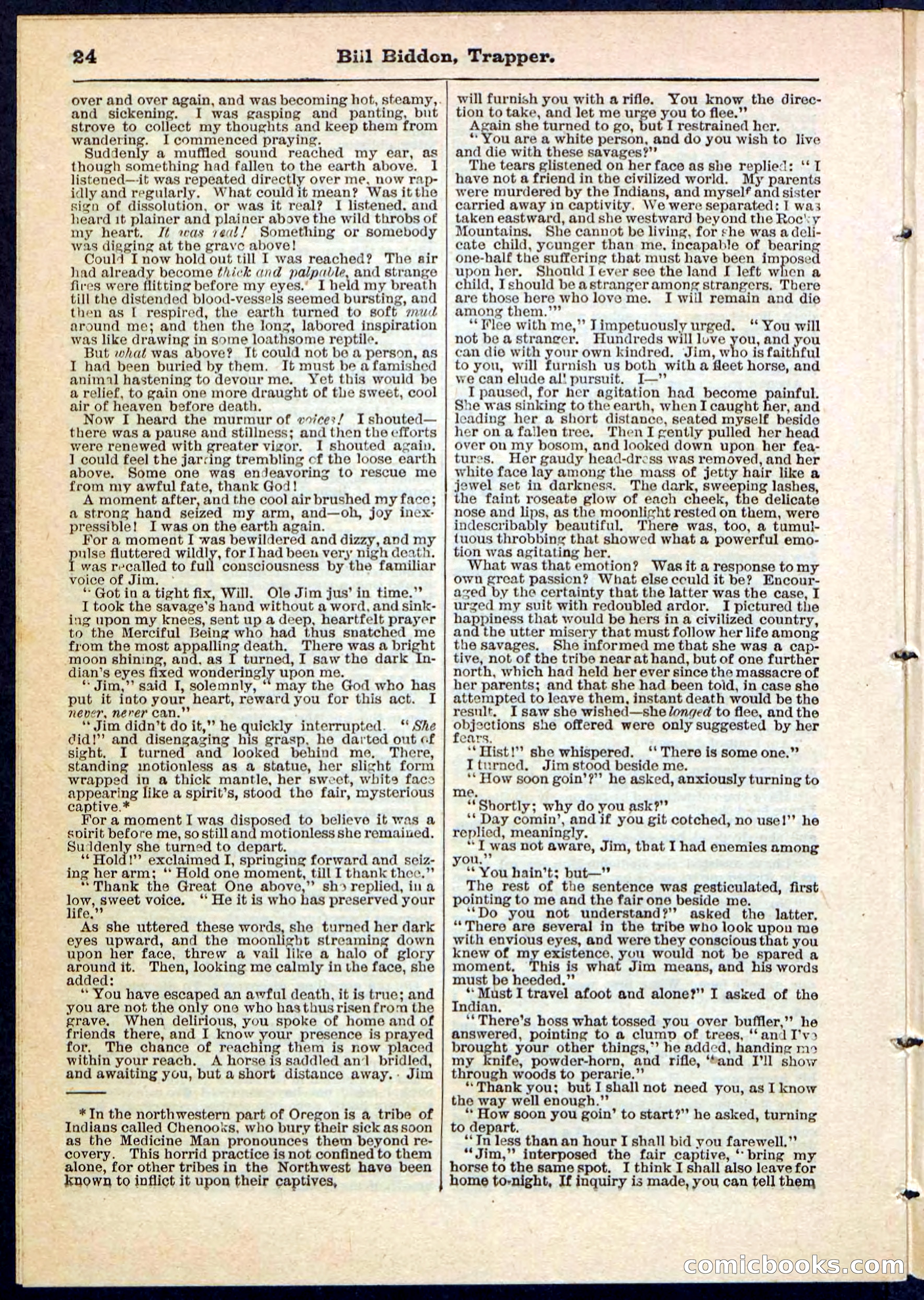 Beadle's Pocket Library No. 89 — page 24 of 32