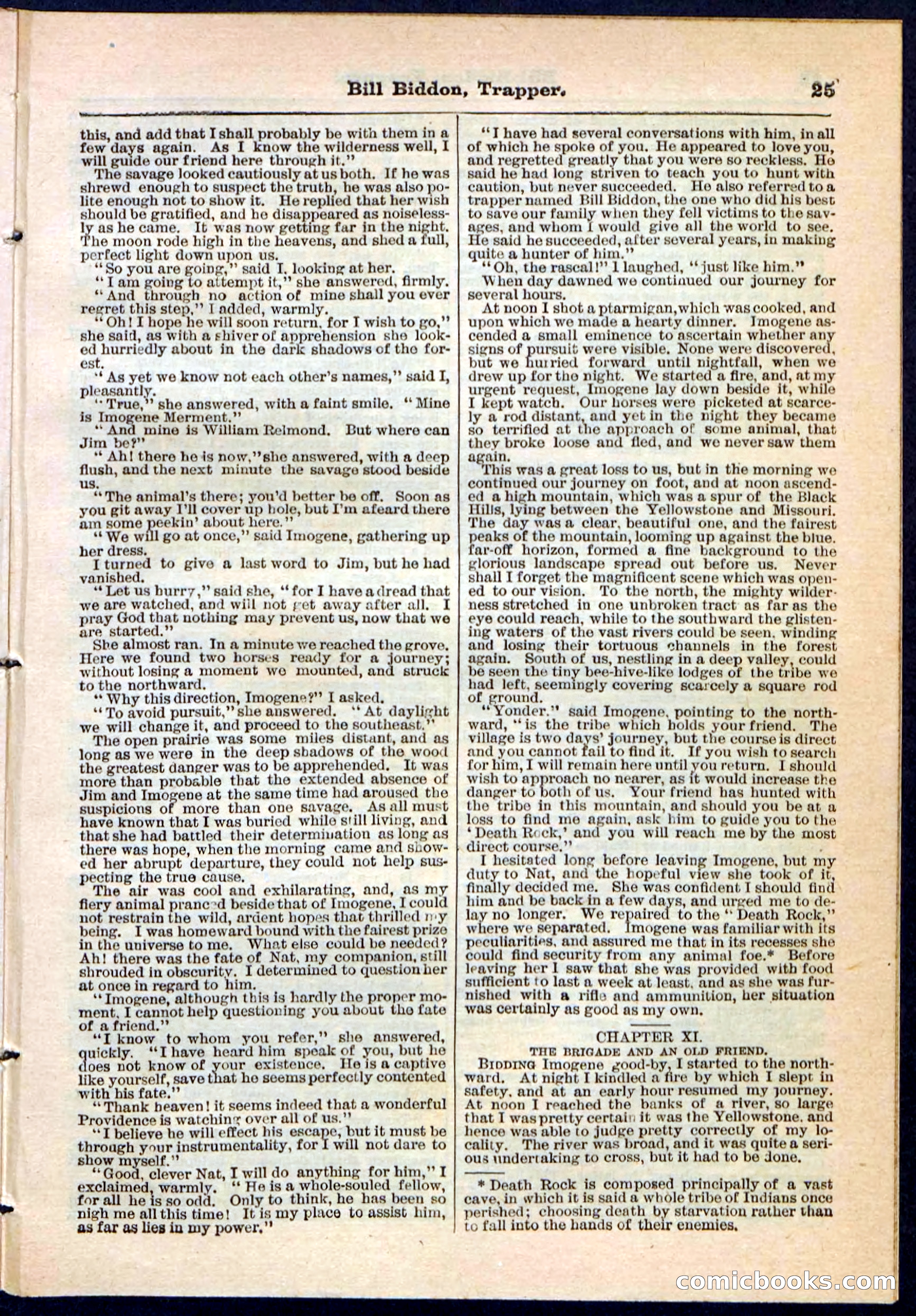 Beadle's Pocket Library No. 89 — page 25 of 32