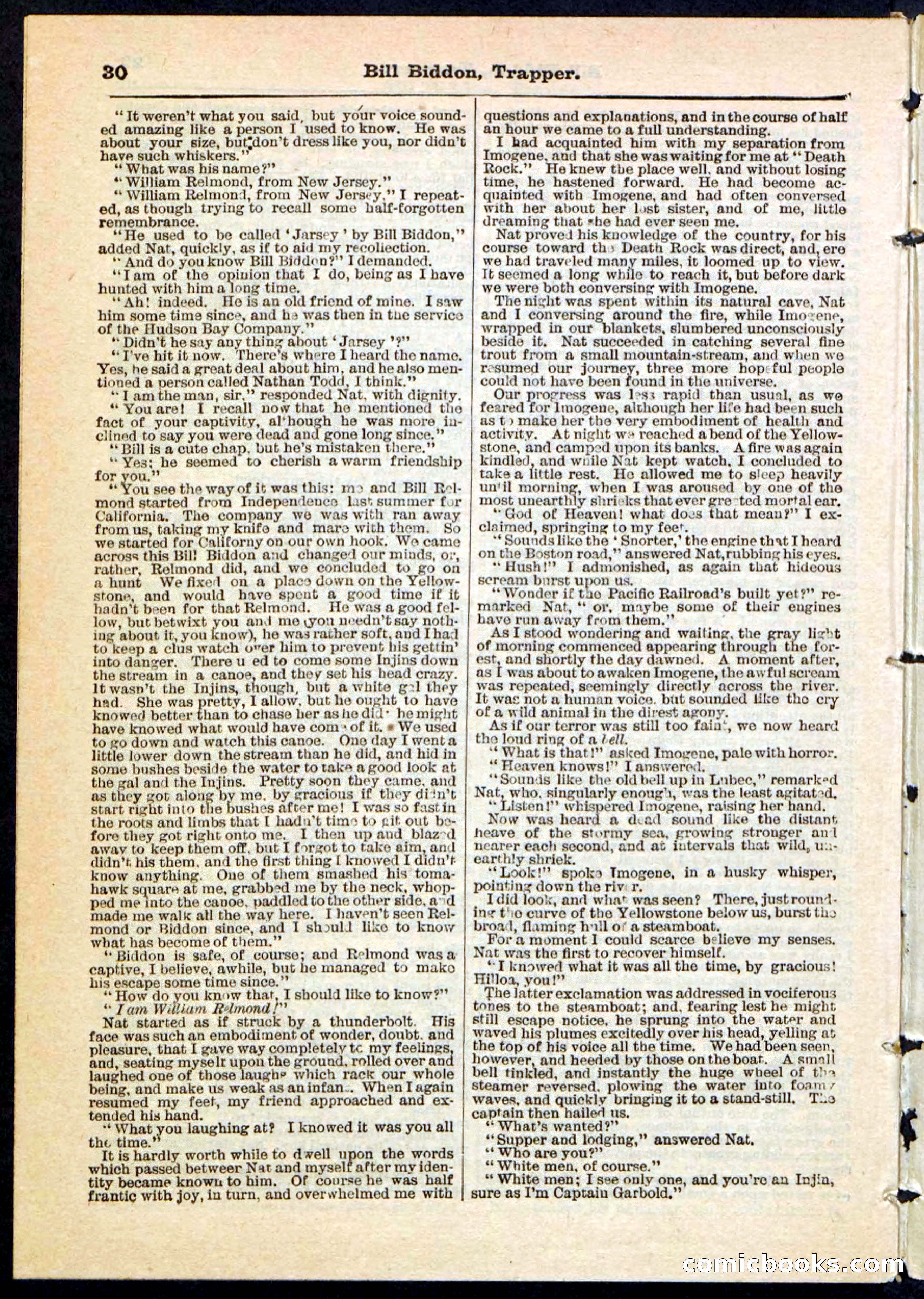 Beadle's Pocket Library No. 89 — page 30 of 32