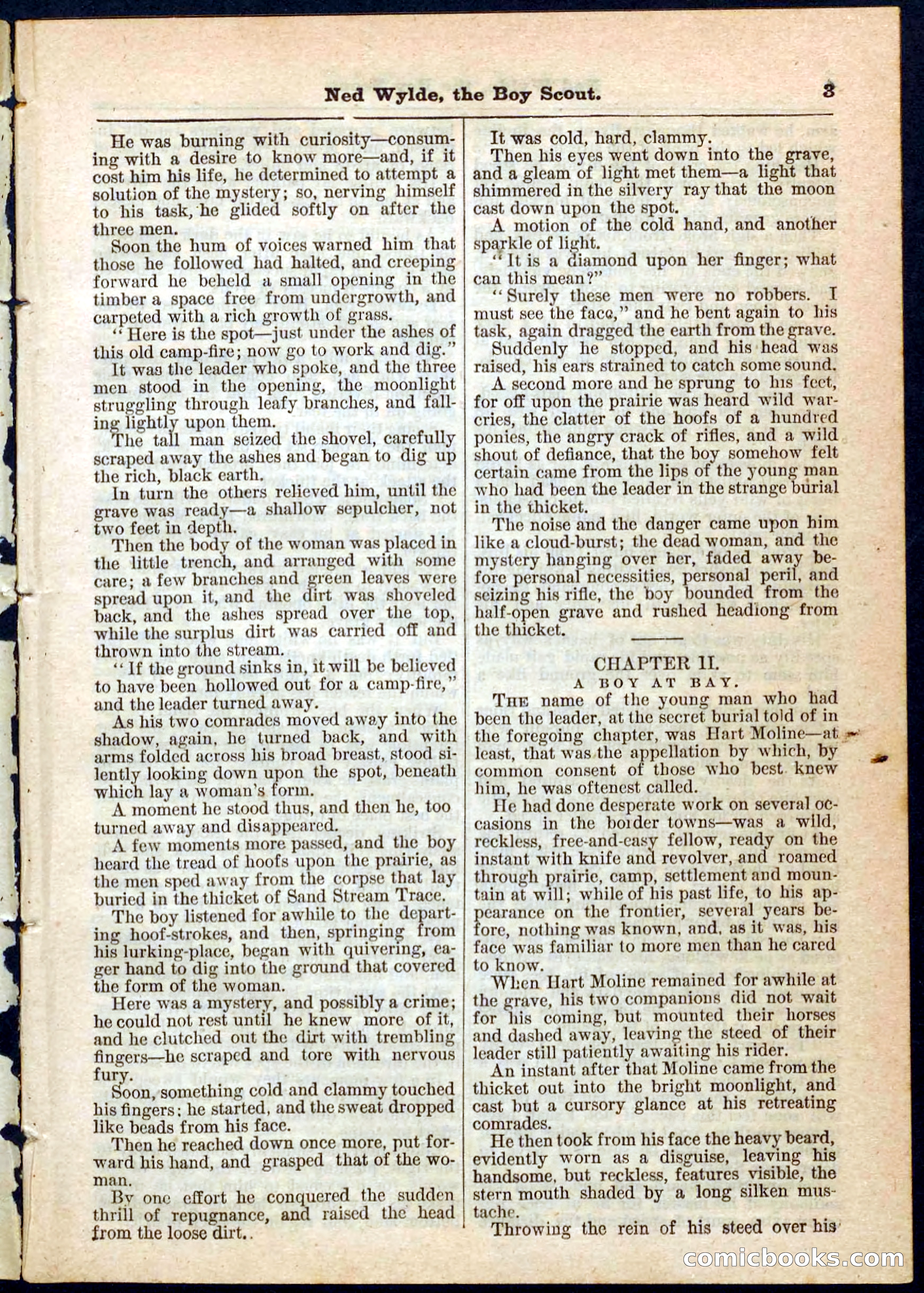 Beadle's Pocket Library No. 9 — page 3 of 32
