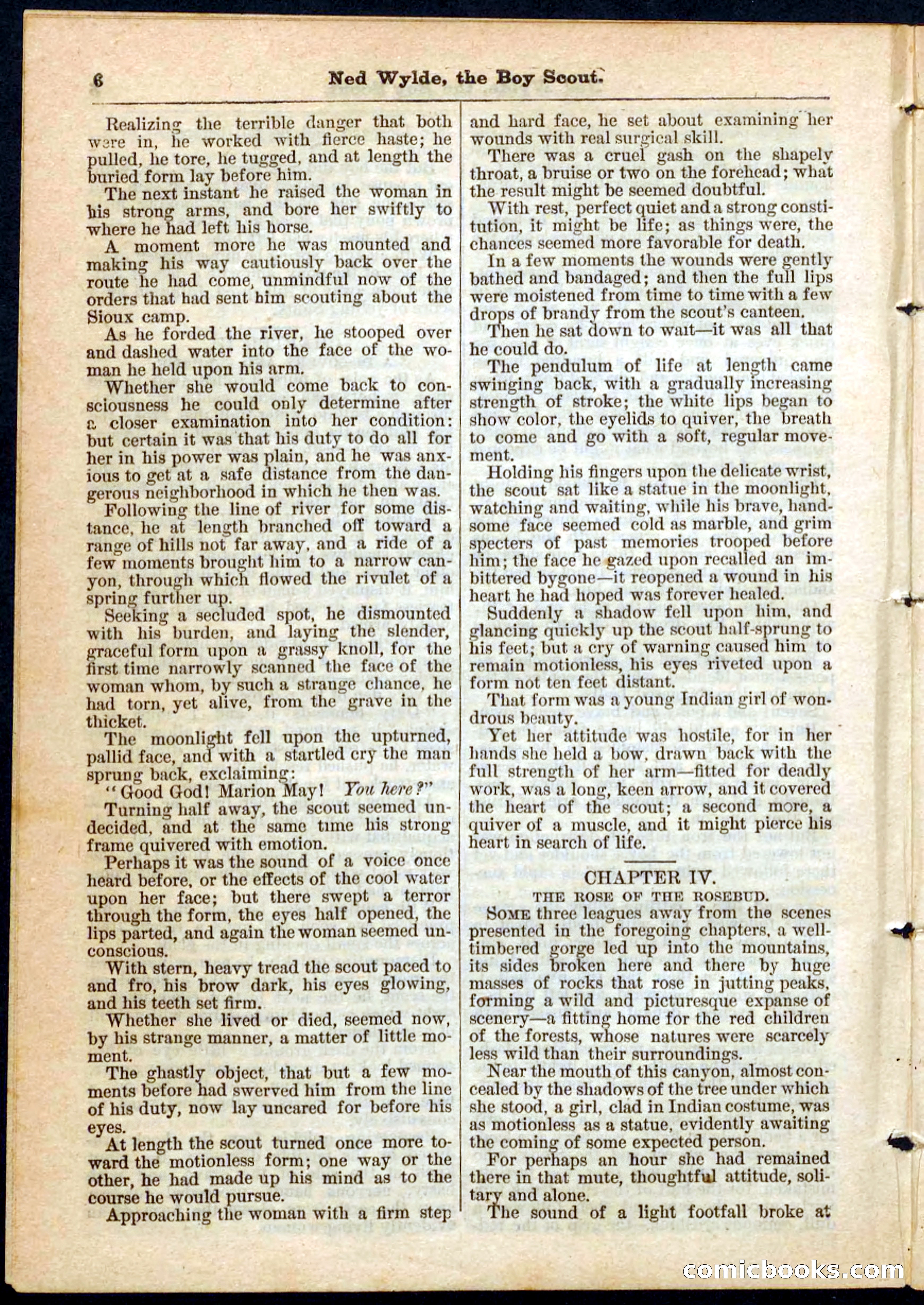 Beadle's Pocket Library No. 9 — page 6 of 32
