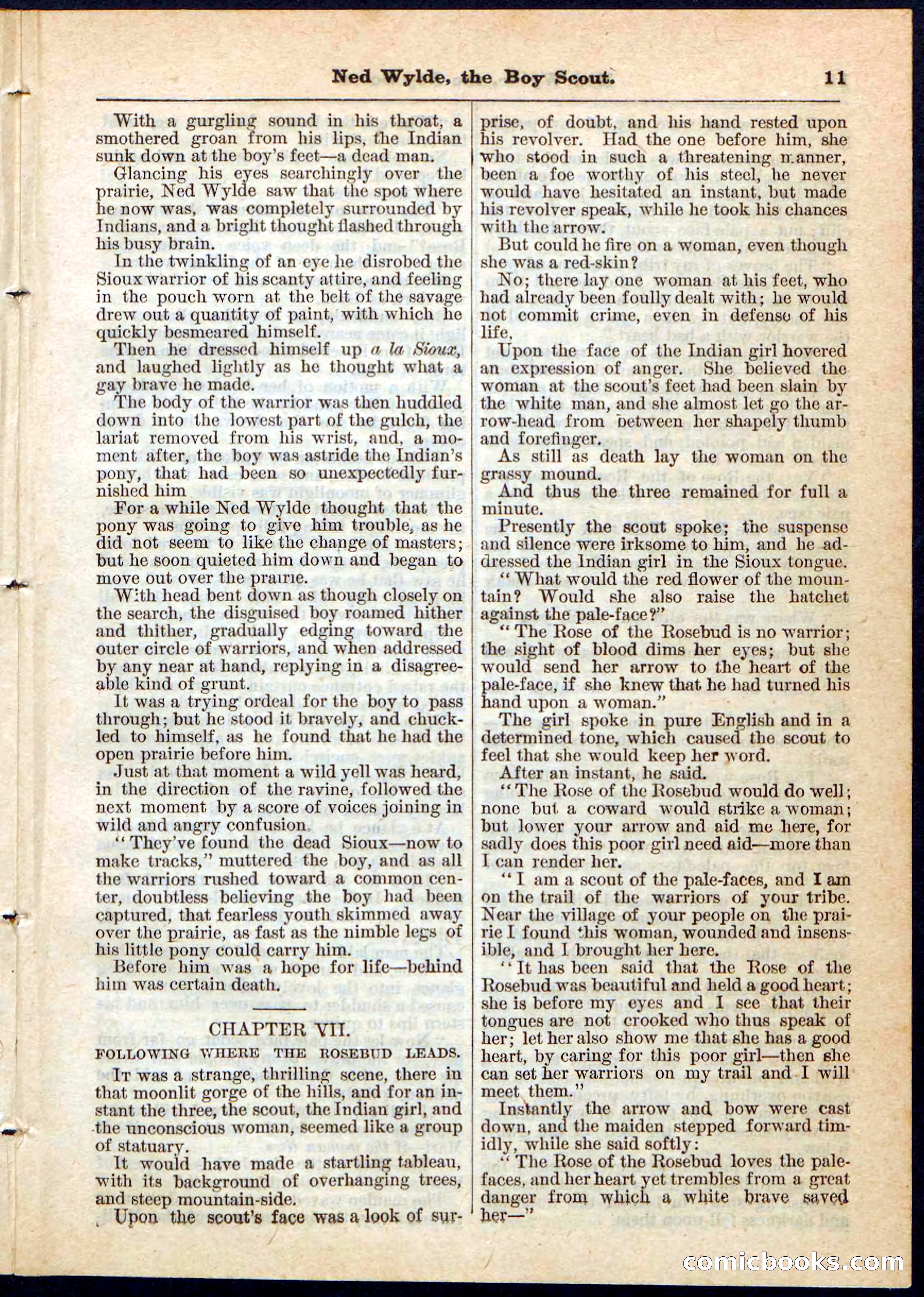 Beadle's Pocket Library No. 9 — page 11 of 32
