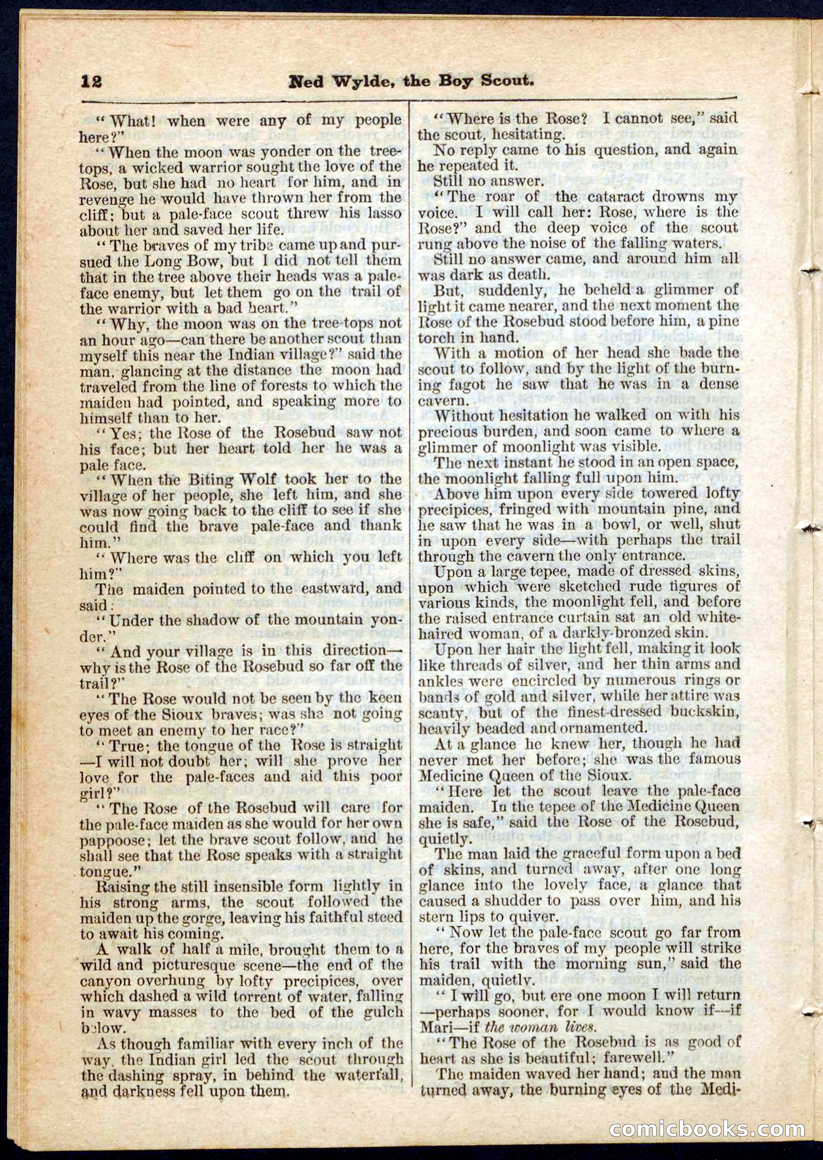 Beadle's Pocket Library No. 9 — page 12 of 32