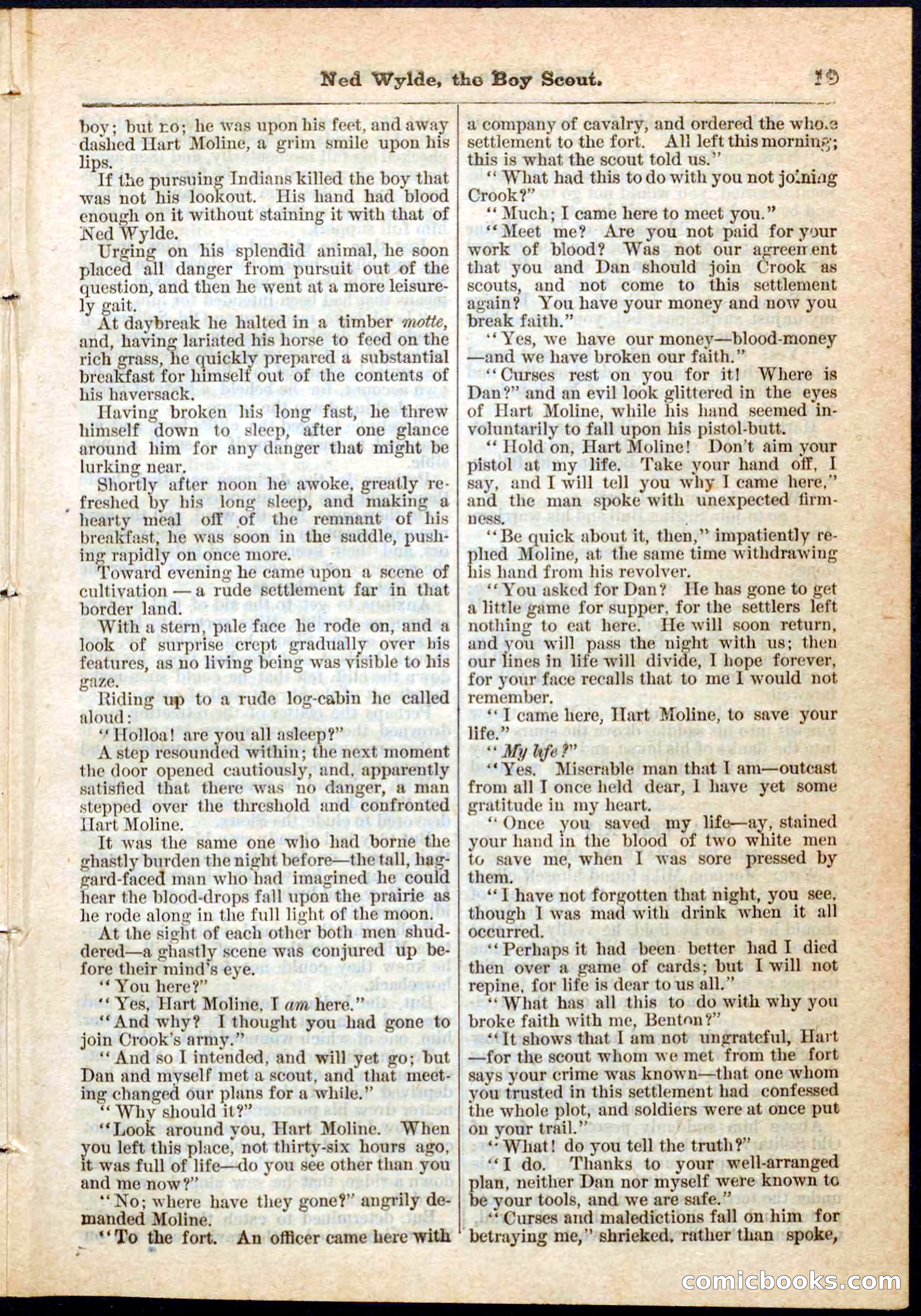 Beadle's Pocket Library No. 9 — page 19 of 32