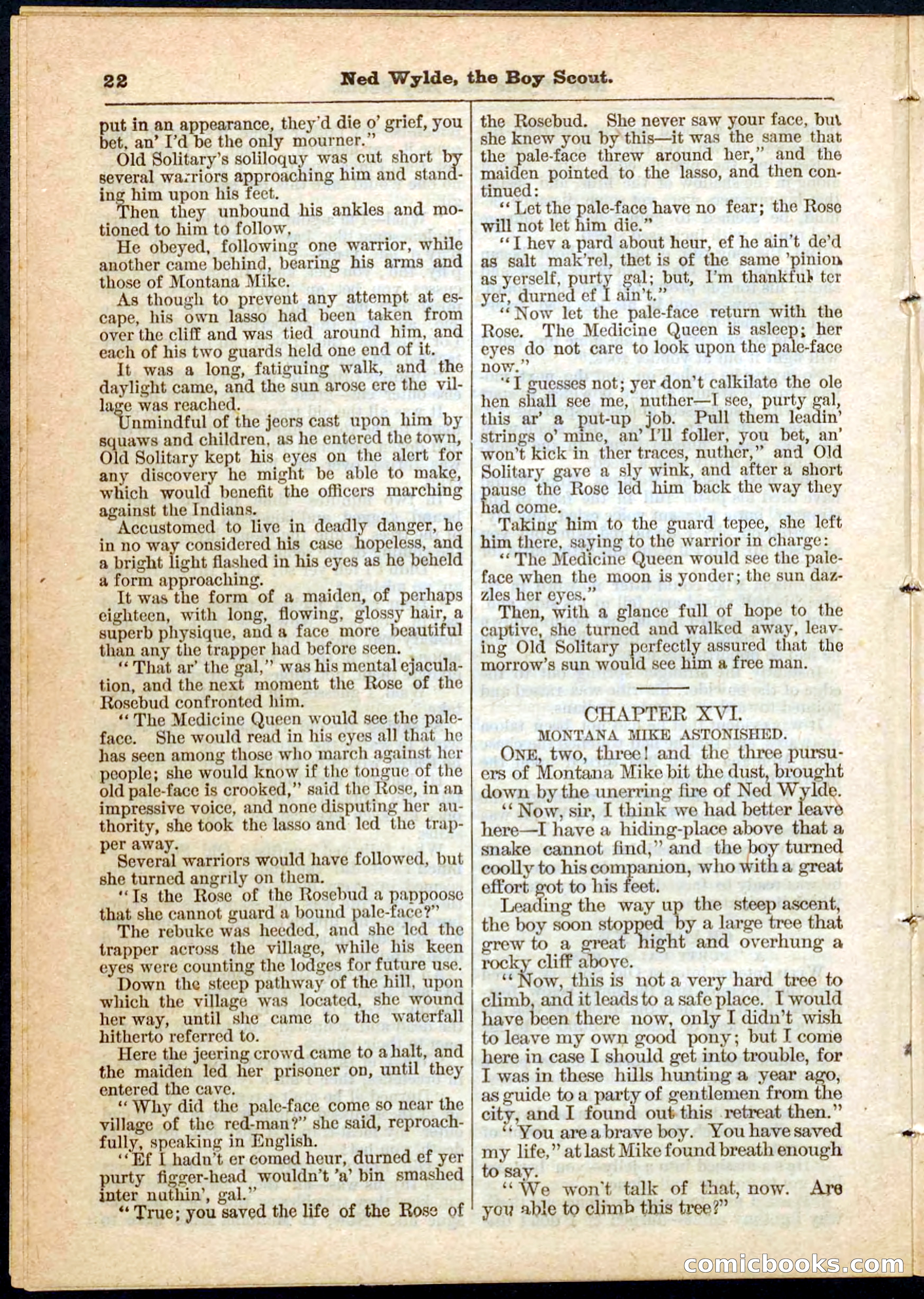Beadle's Pocket Library No. 9 — page 22 of 32
