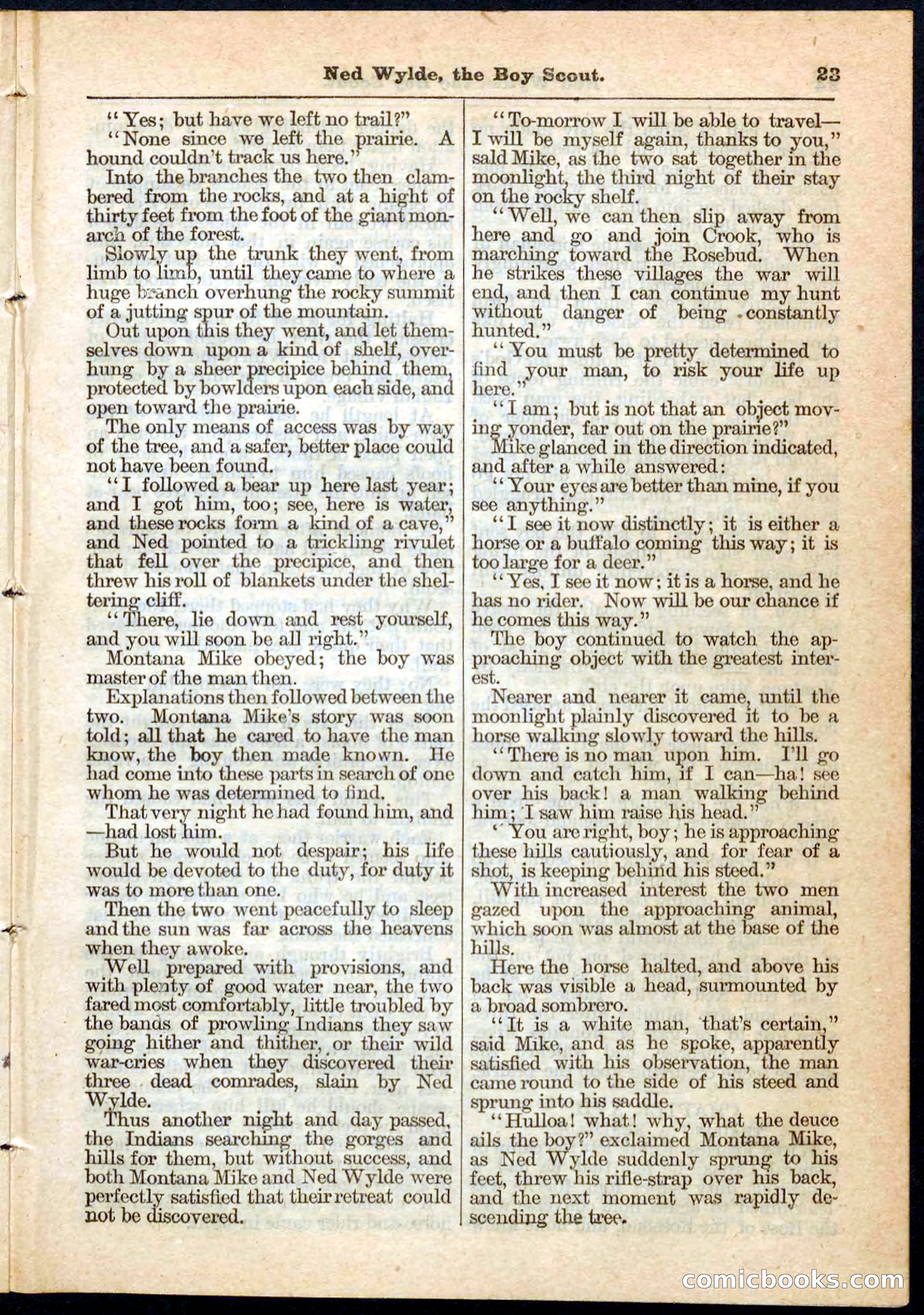 Beadle's Pocket Library No. 9 — page 23 of 32