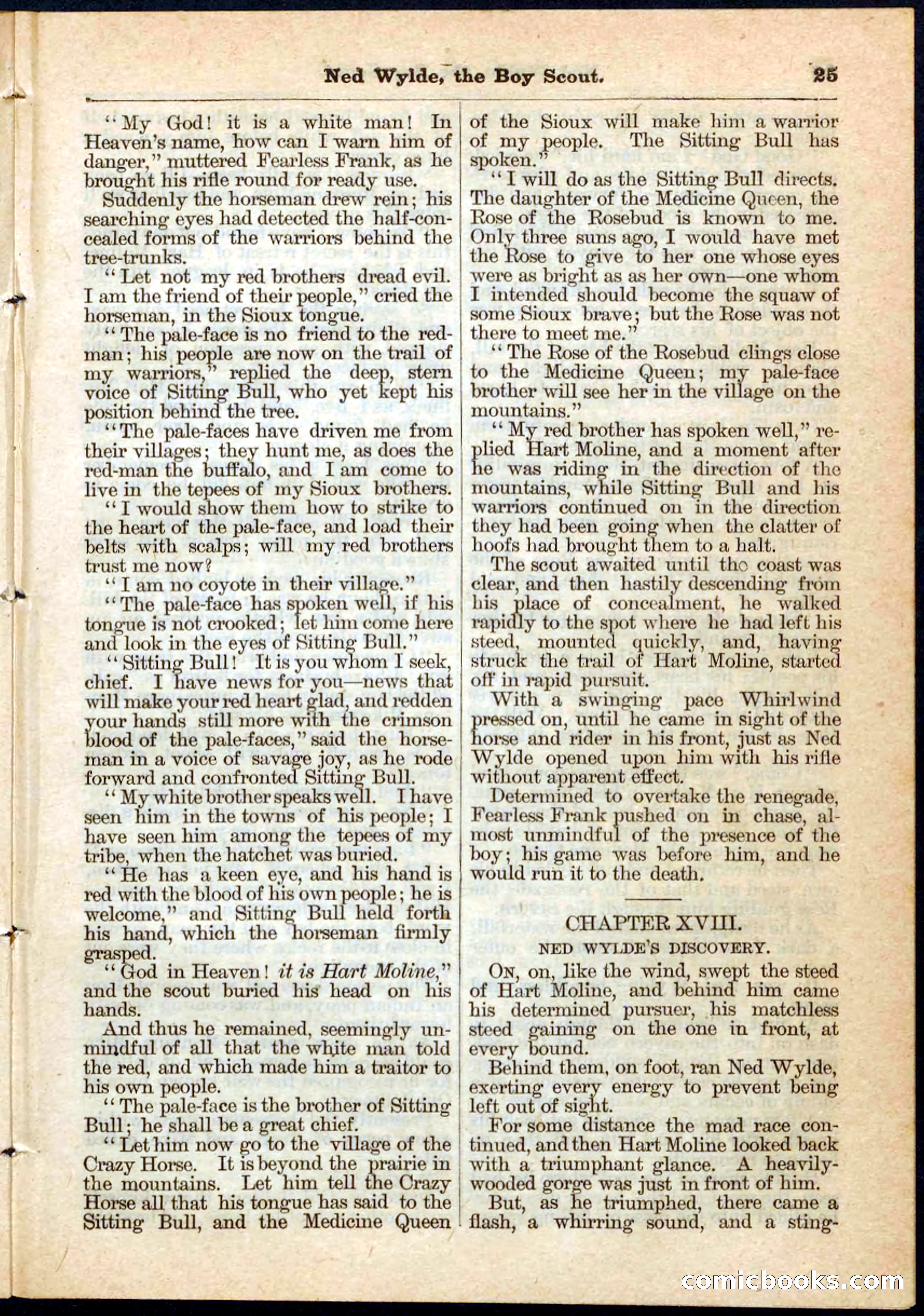 Beadle's Pocket Library No. 9 — page 25 of 32