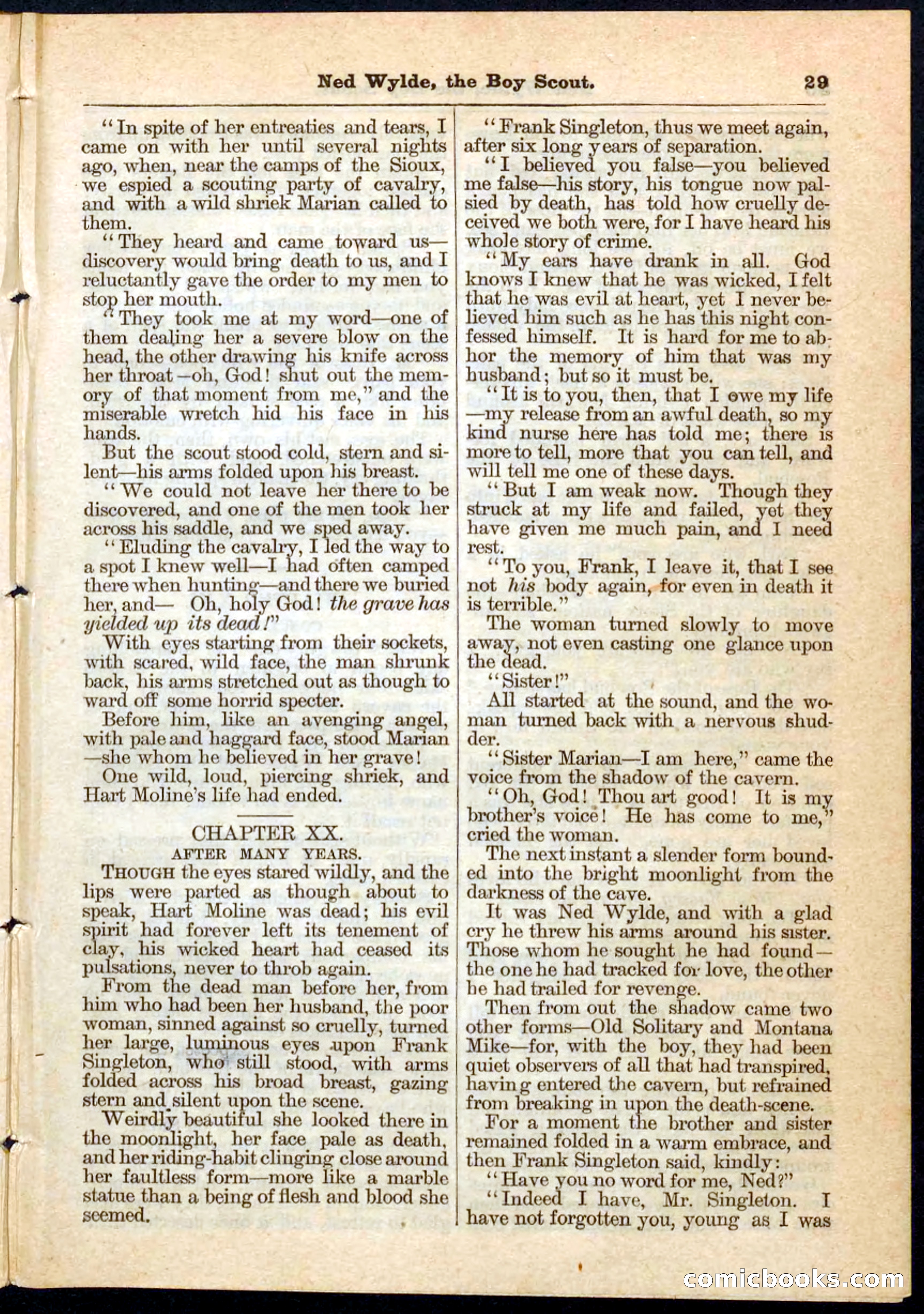 Beadle's Pocket Library No. 9 — page 29 of 32