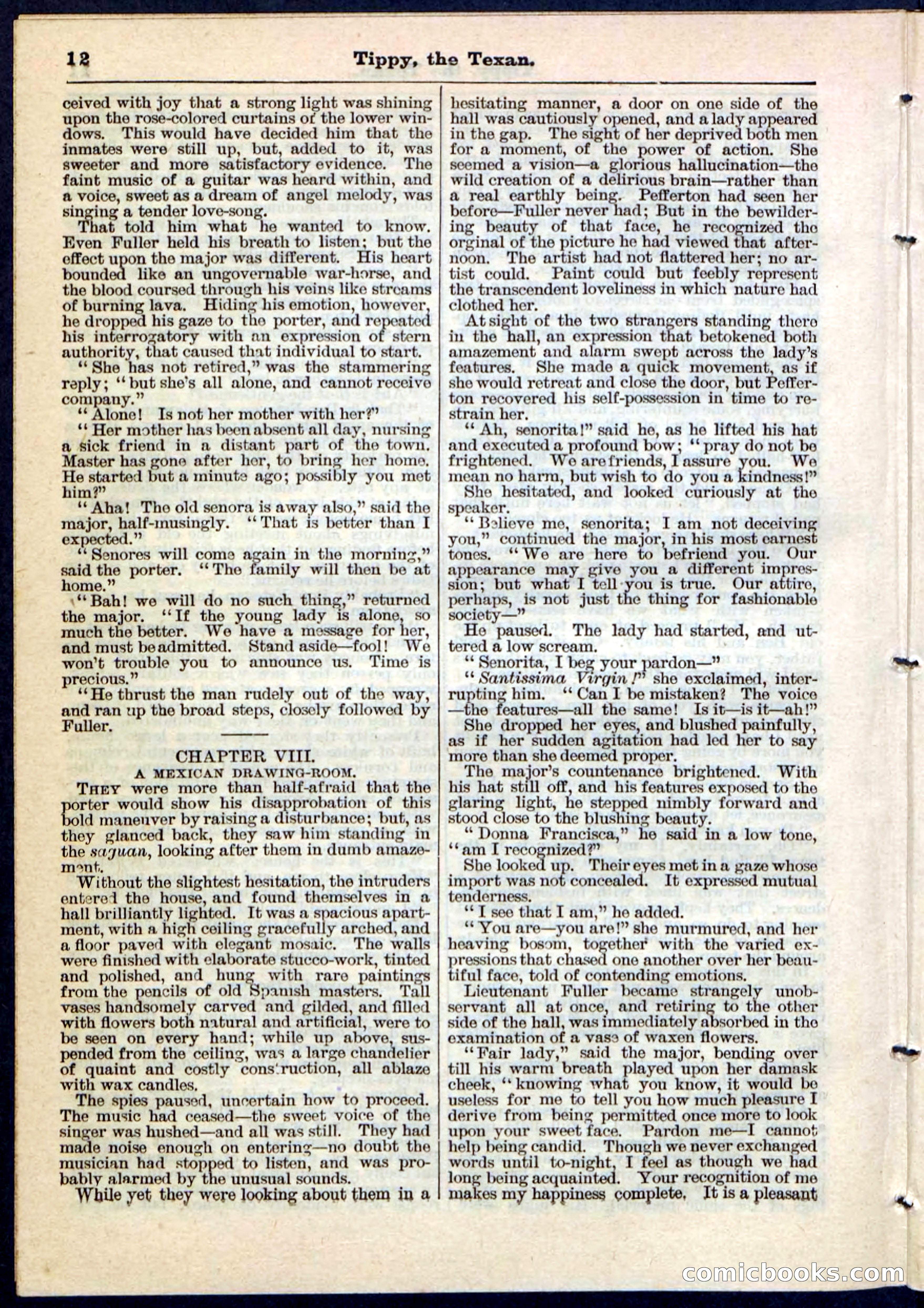 Beadle's Pocket Library No. 90 — page 12 of 32