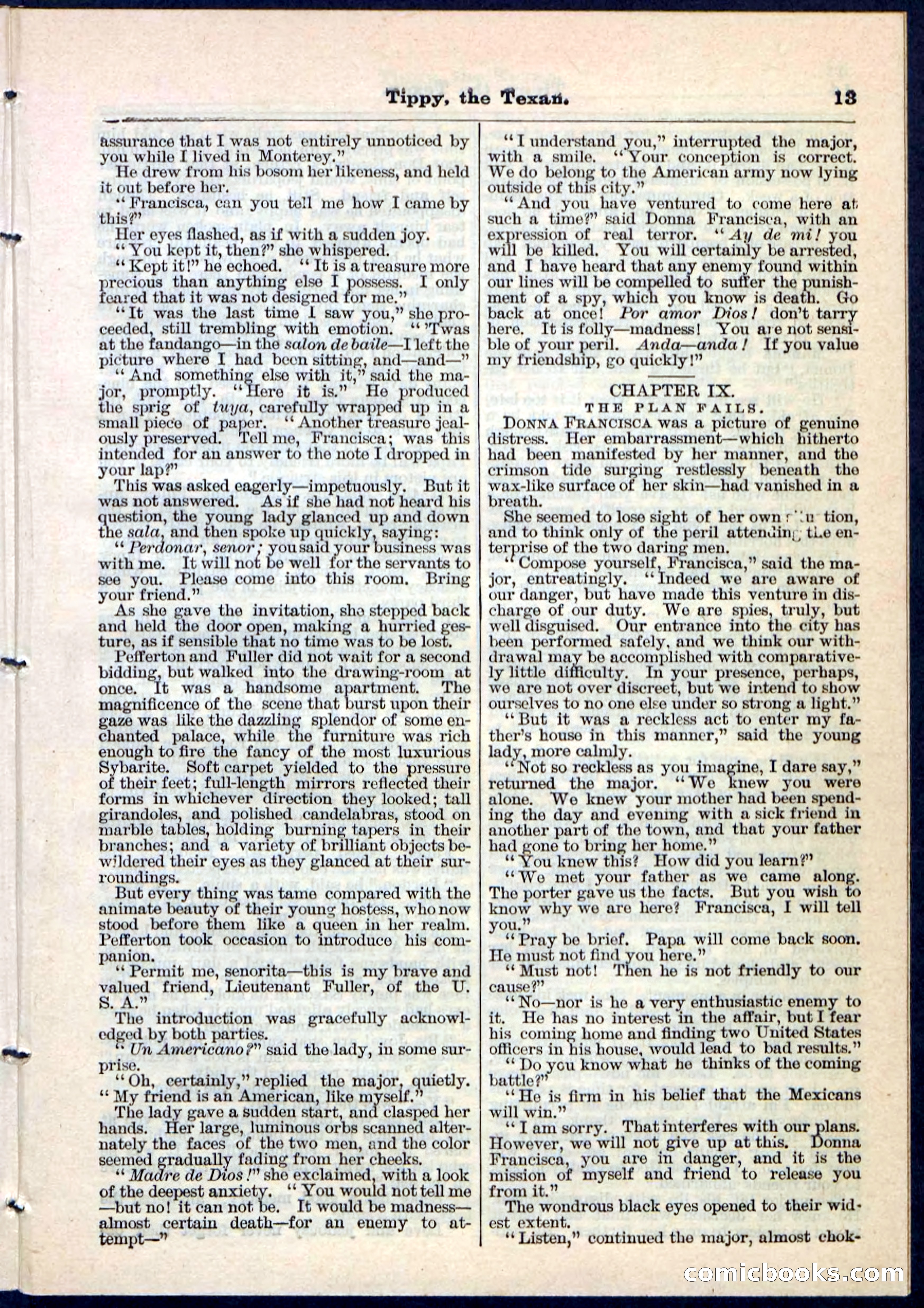 Beadle's Pocket Library No. 90 — page 13 of 32