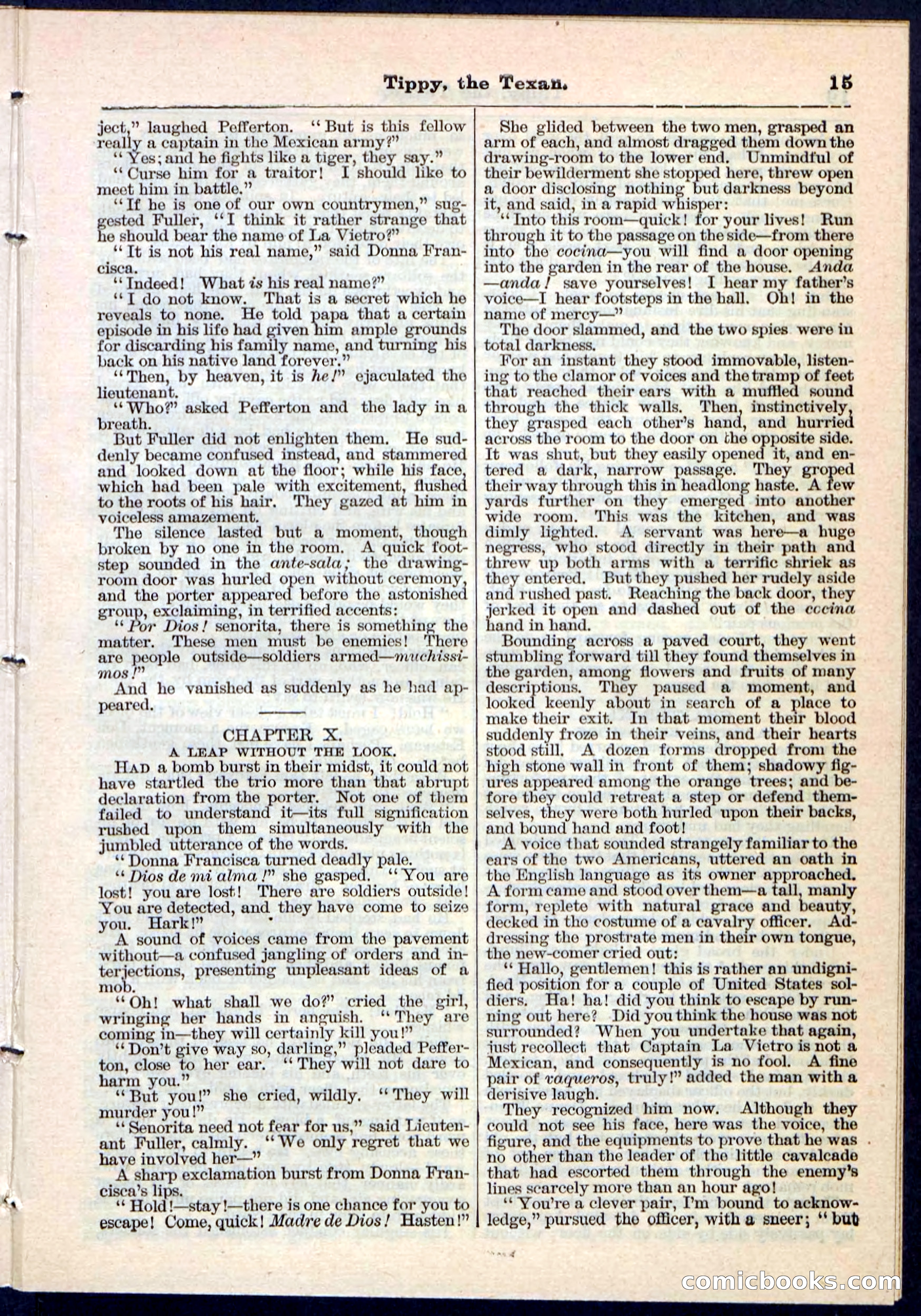 Beadle's Pocket Library No. 90 — page 15 of 32
