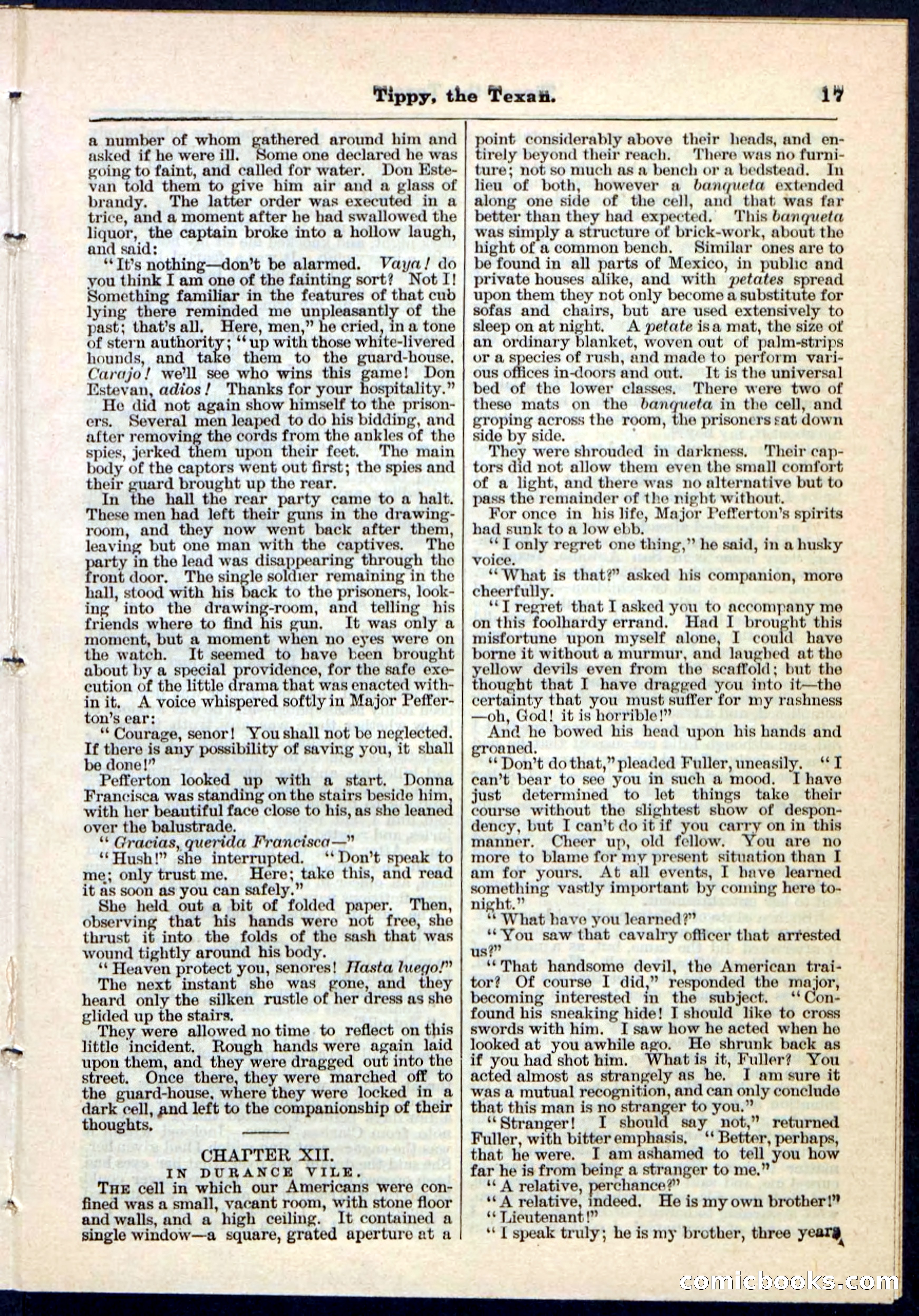 Beadle's Pocket Library No. 90 — page 17 of 32