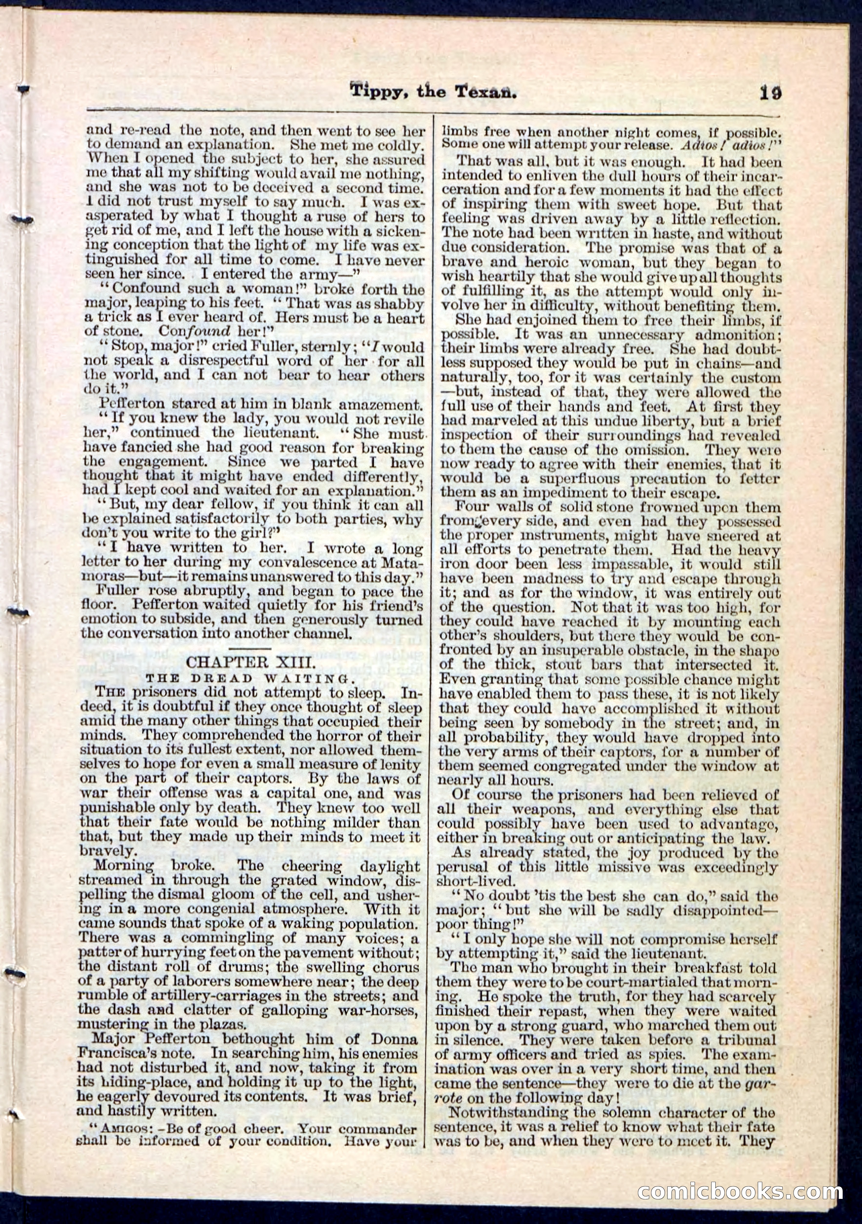 Beadle's Pocket Library No. 90 — page 19 of 32
