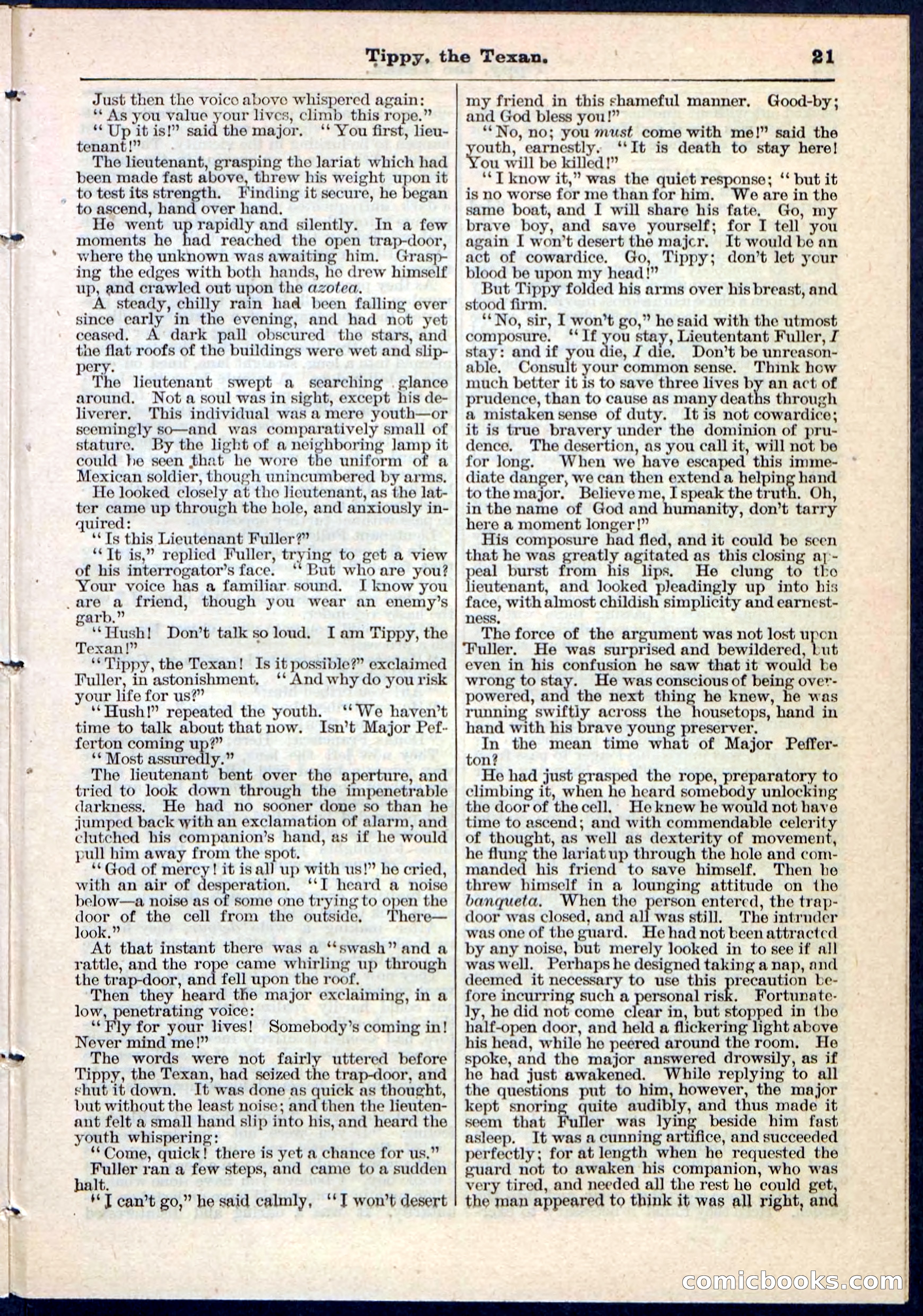 Beadle's Pocket Library No. 90 — page 21 of 32