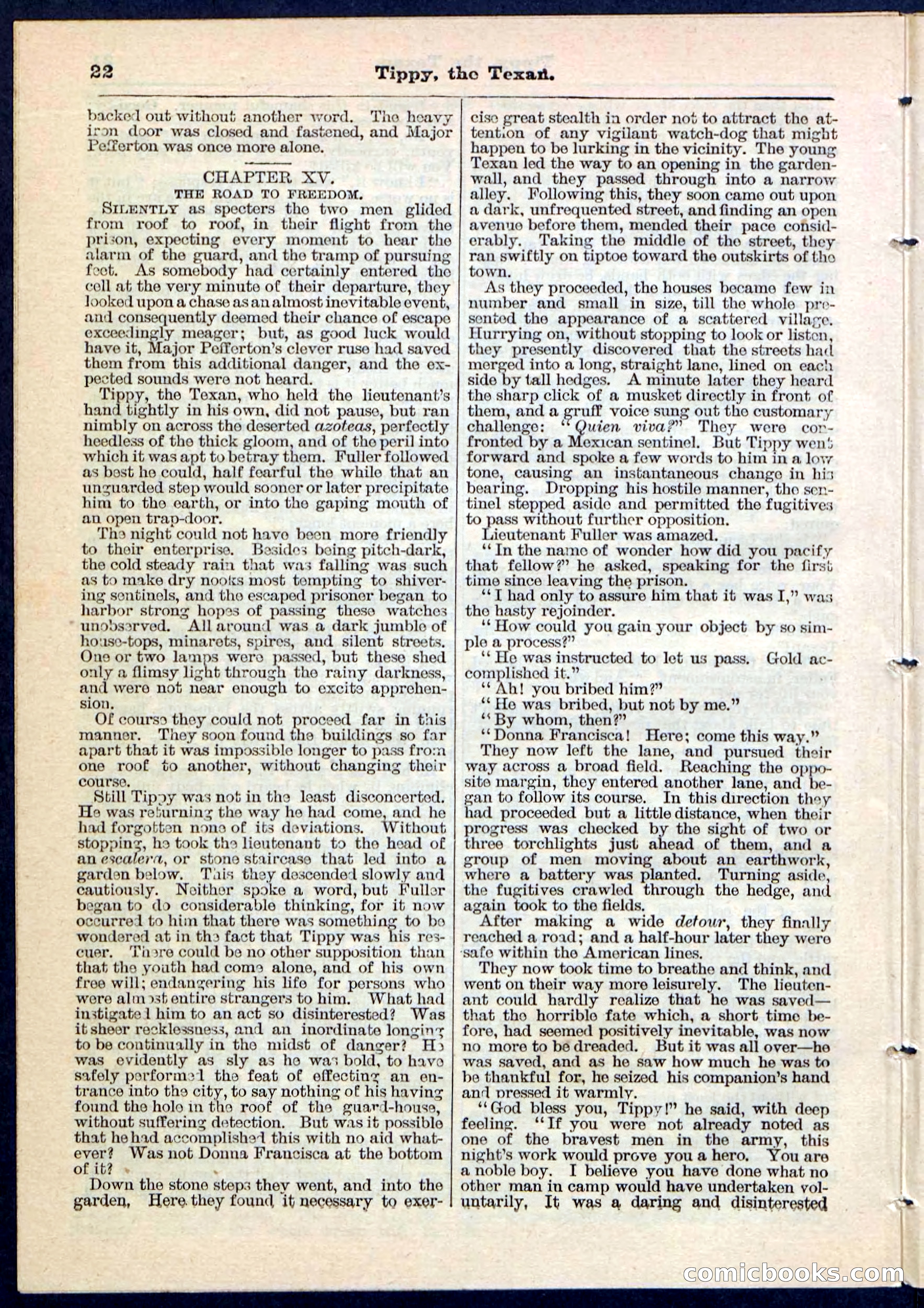 Beadle's Pocket Library No. 90 — page 22 of 32