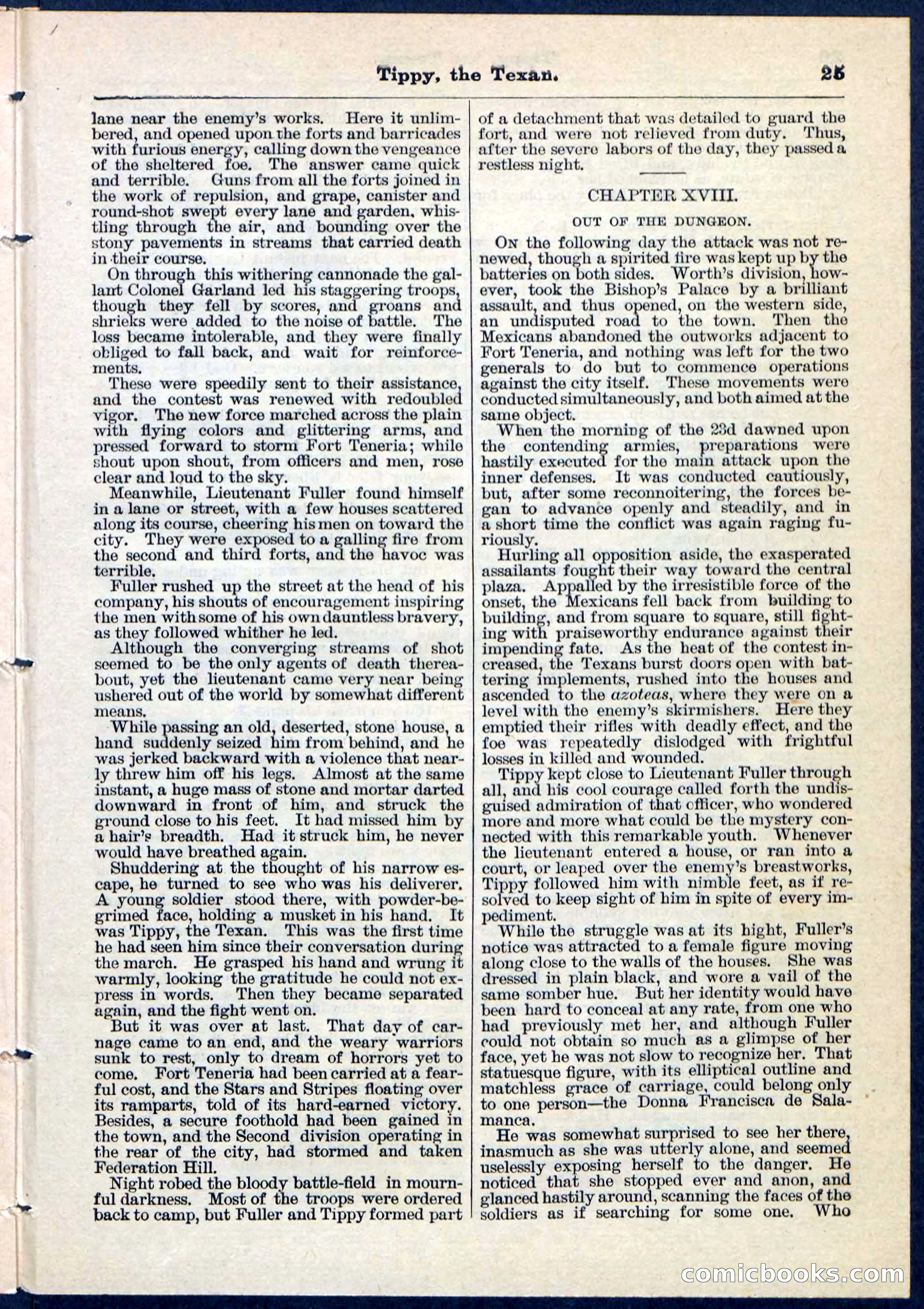 Beadle's Pocket Library No. 90 — page 25 of 32