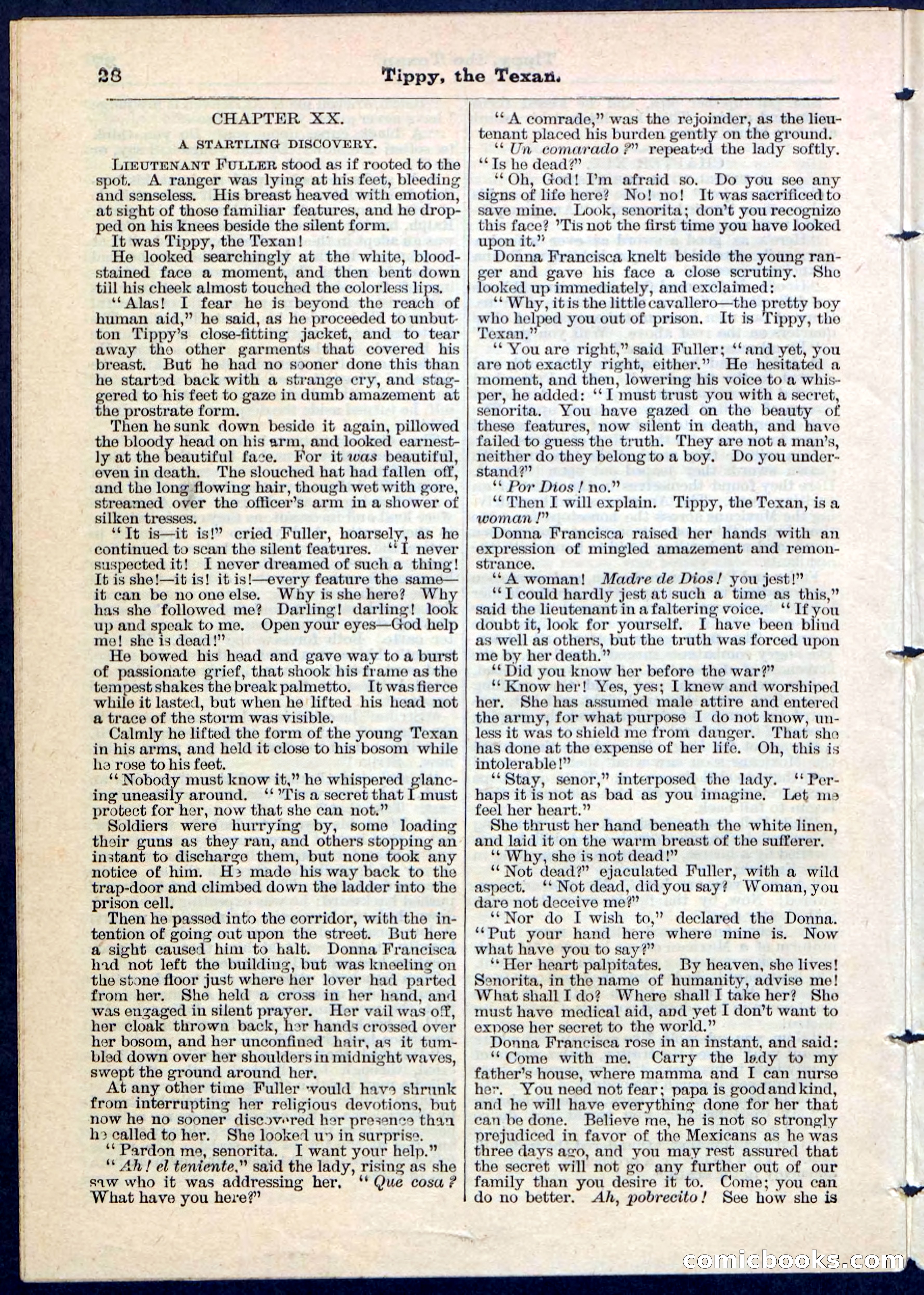 Beadle's Pocket Library No. 90 — page 28 of 32