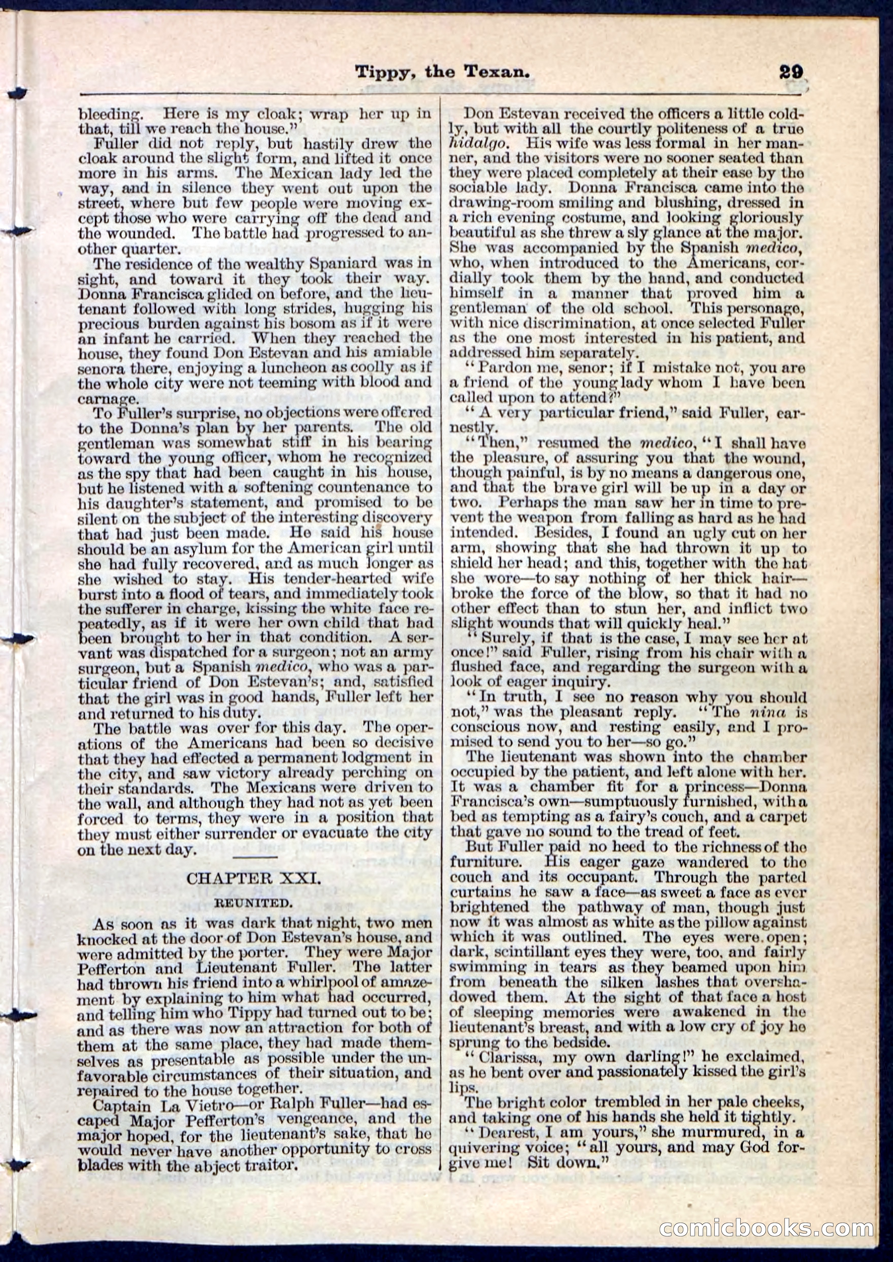 Beadle's Pocket Library No. 90 — page 29 of 32