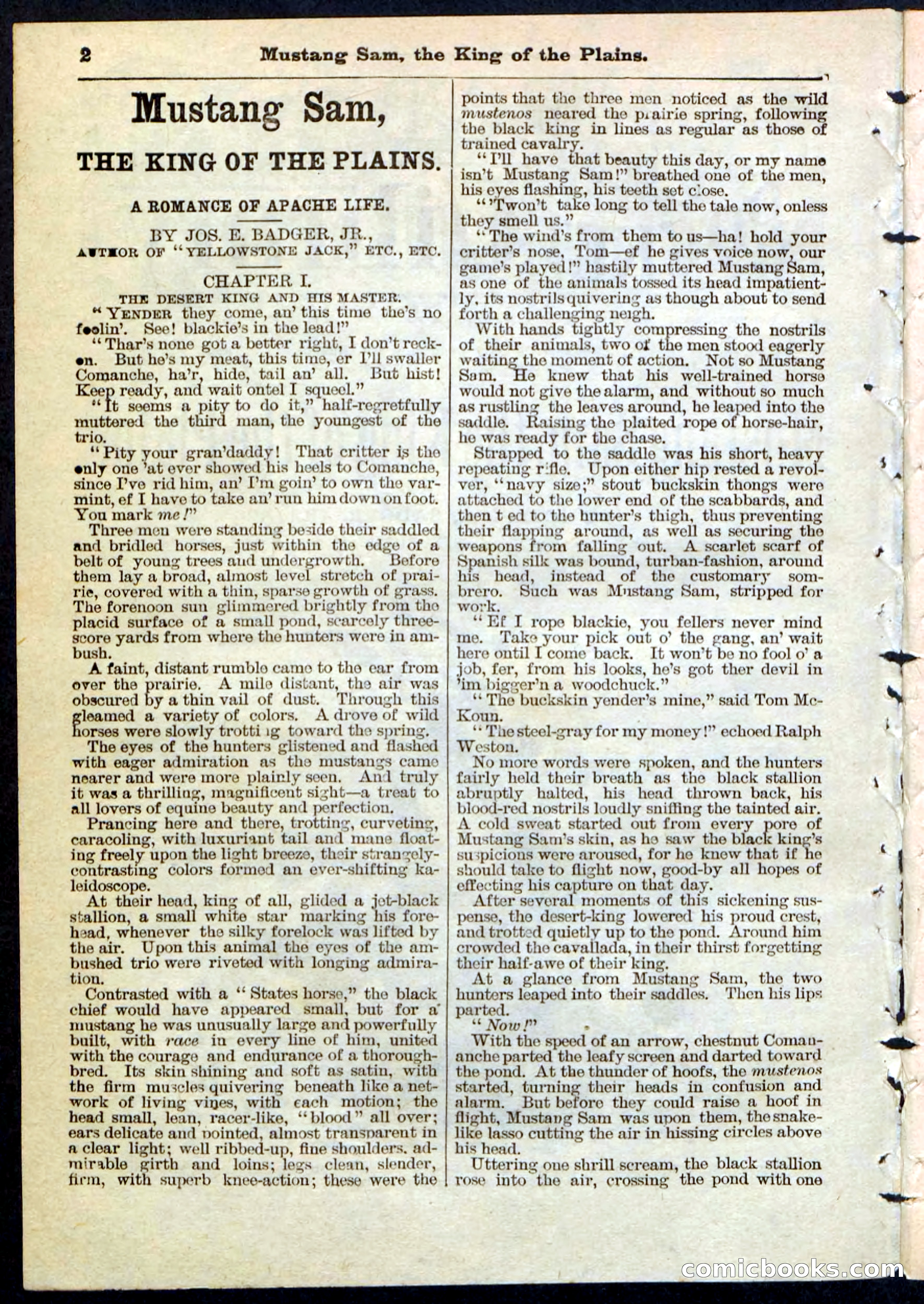 Beadle's Pocket Library No. 91 — page 2 of 32