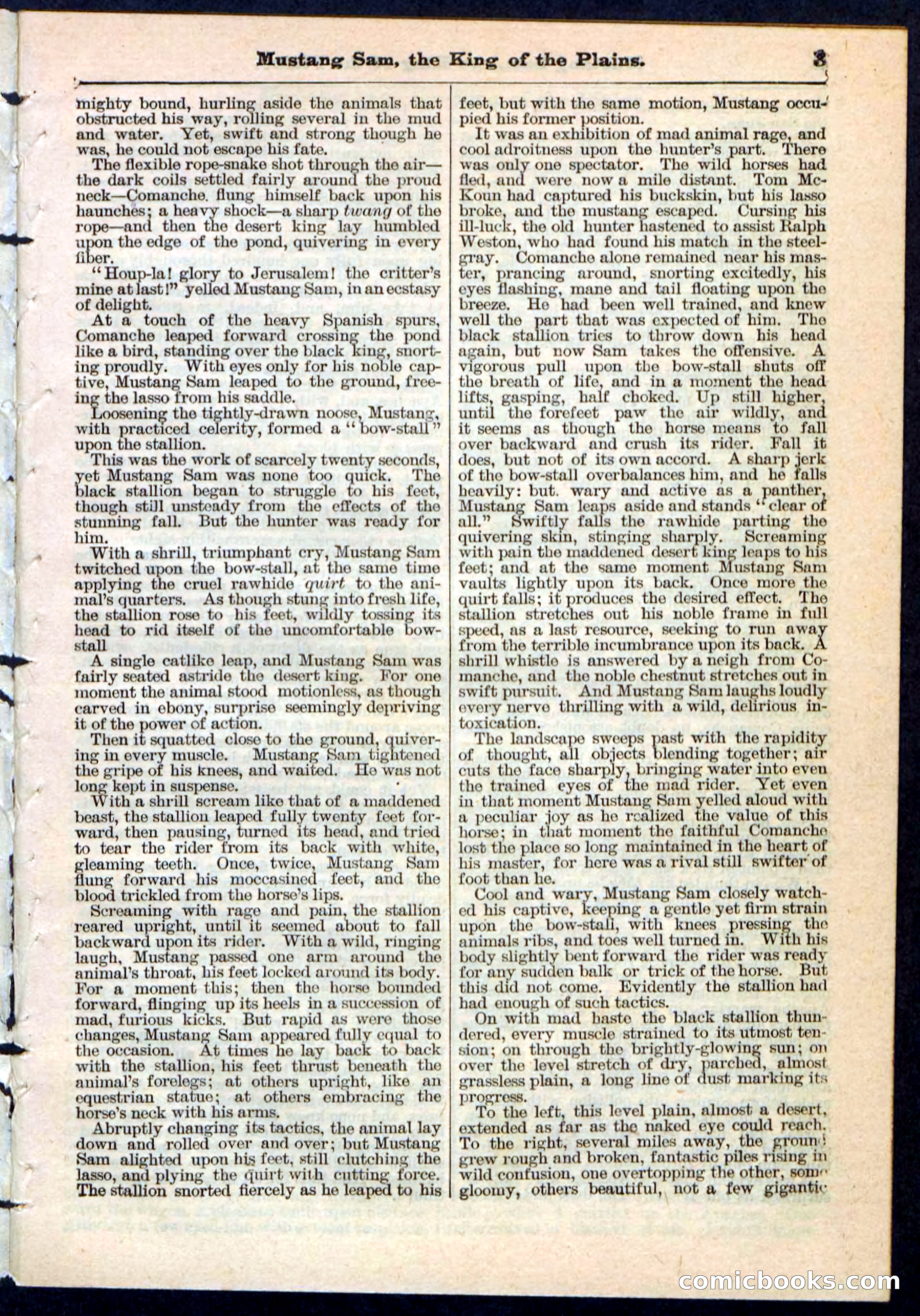 Beadle's Pocket Library No. 91 — page 3 of 32