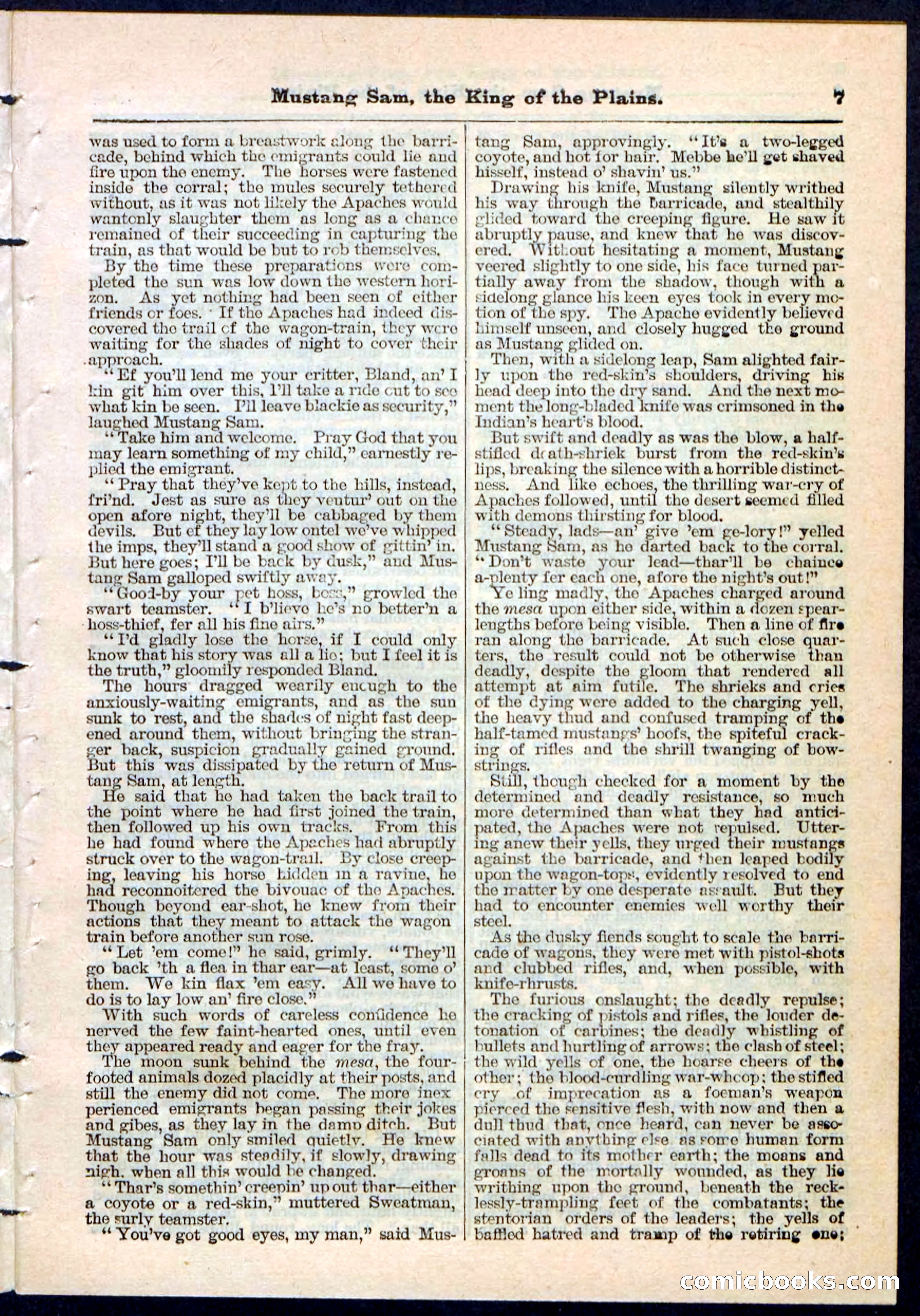 Beadle's Pocket Library No. 91 — page 7 of 32