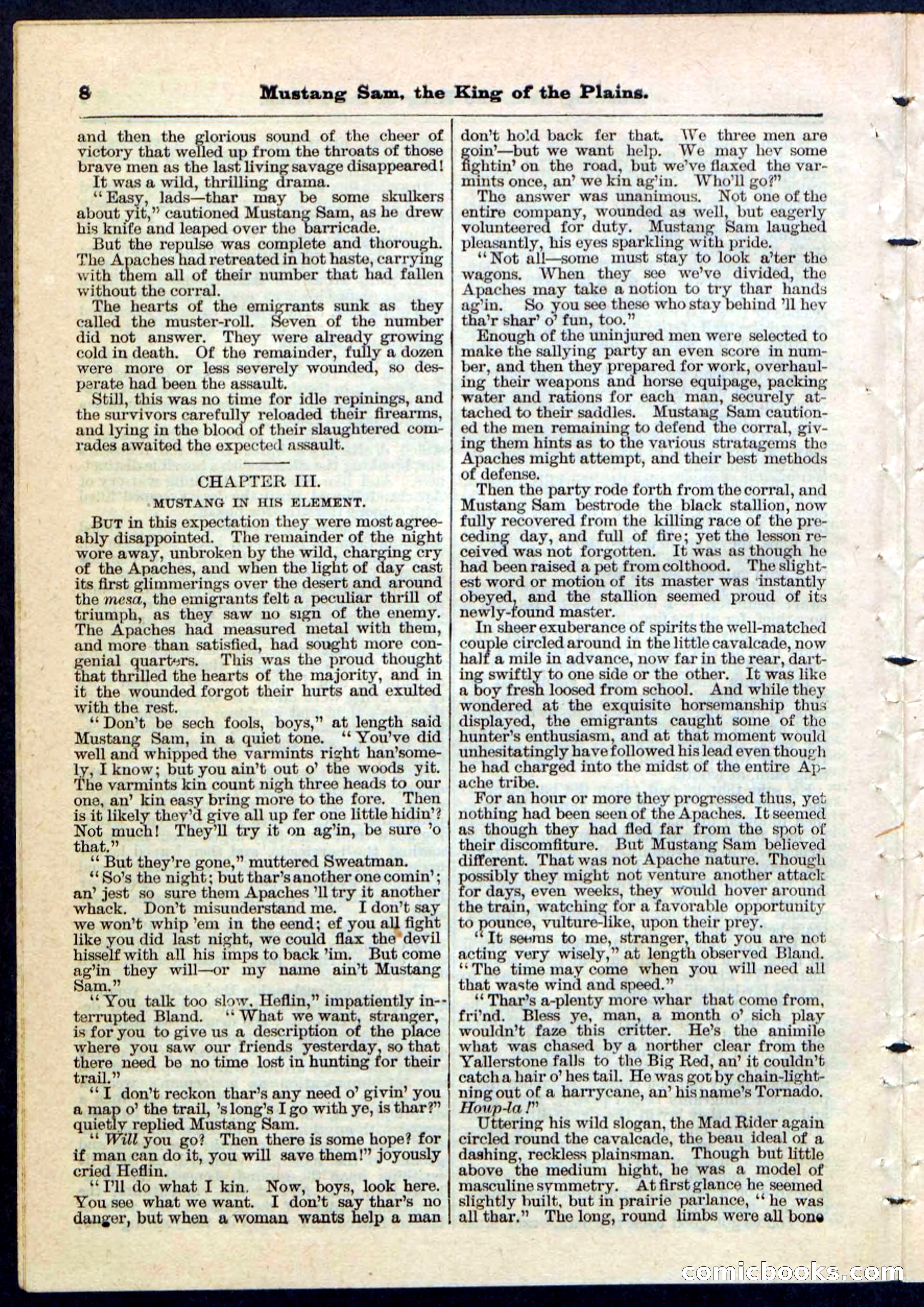 Beadle's Pocket Library No. 91 — page 8 of 32