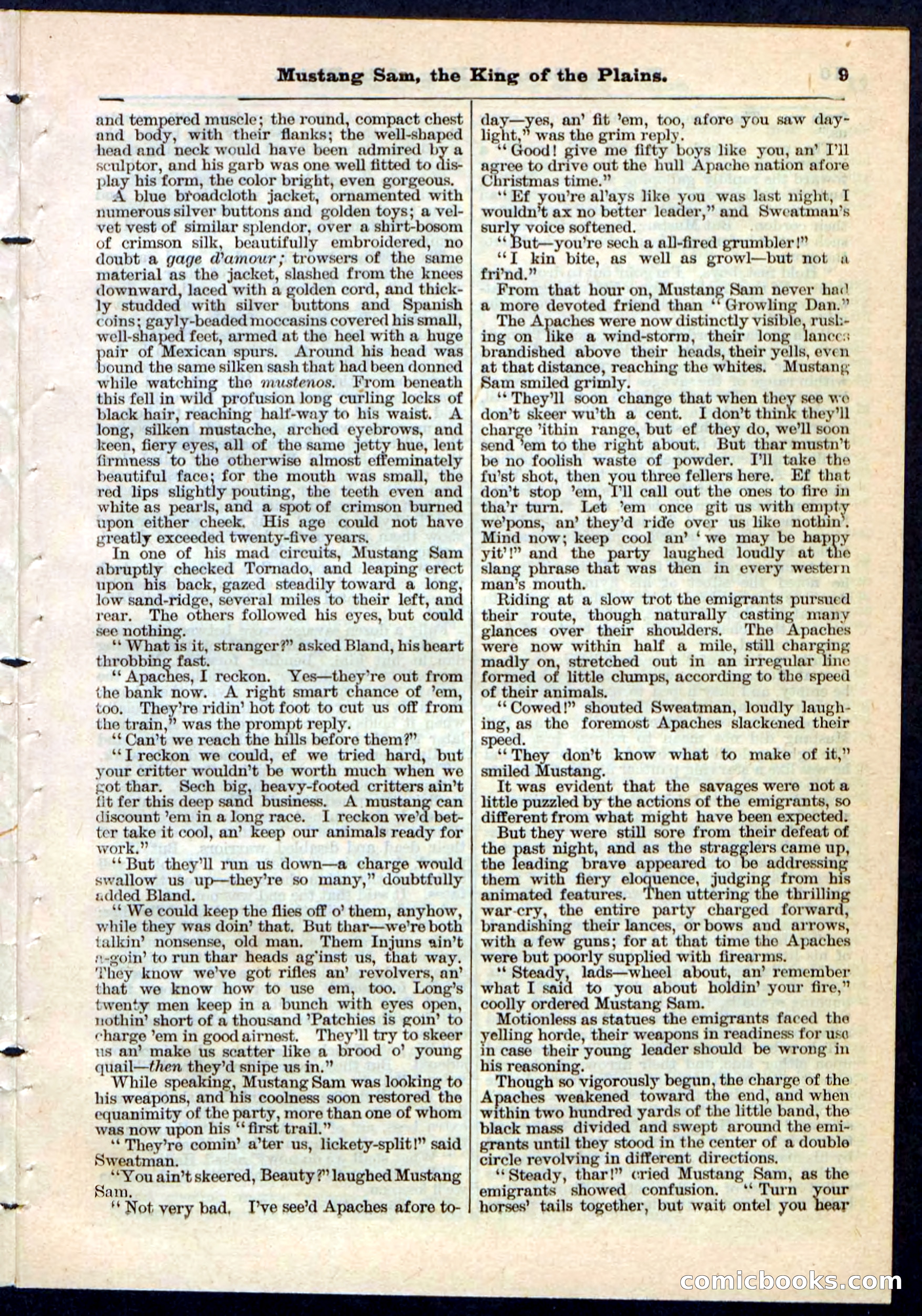 Beadle's Pocket Library No. 91 — page 9 of 32
