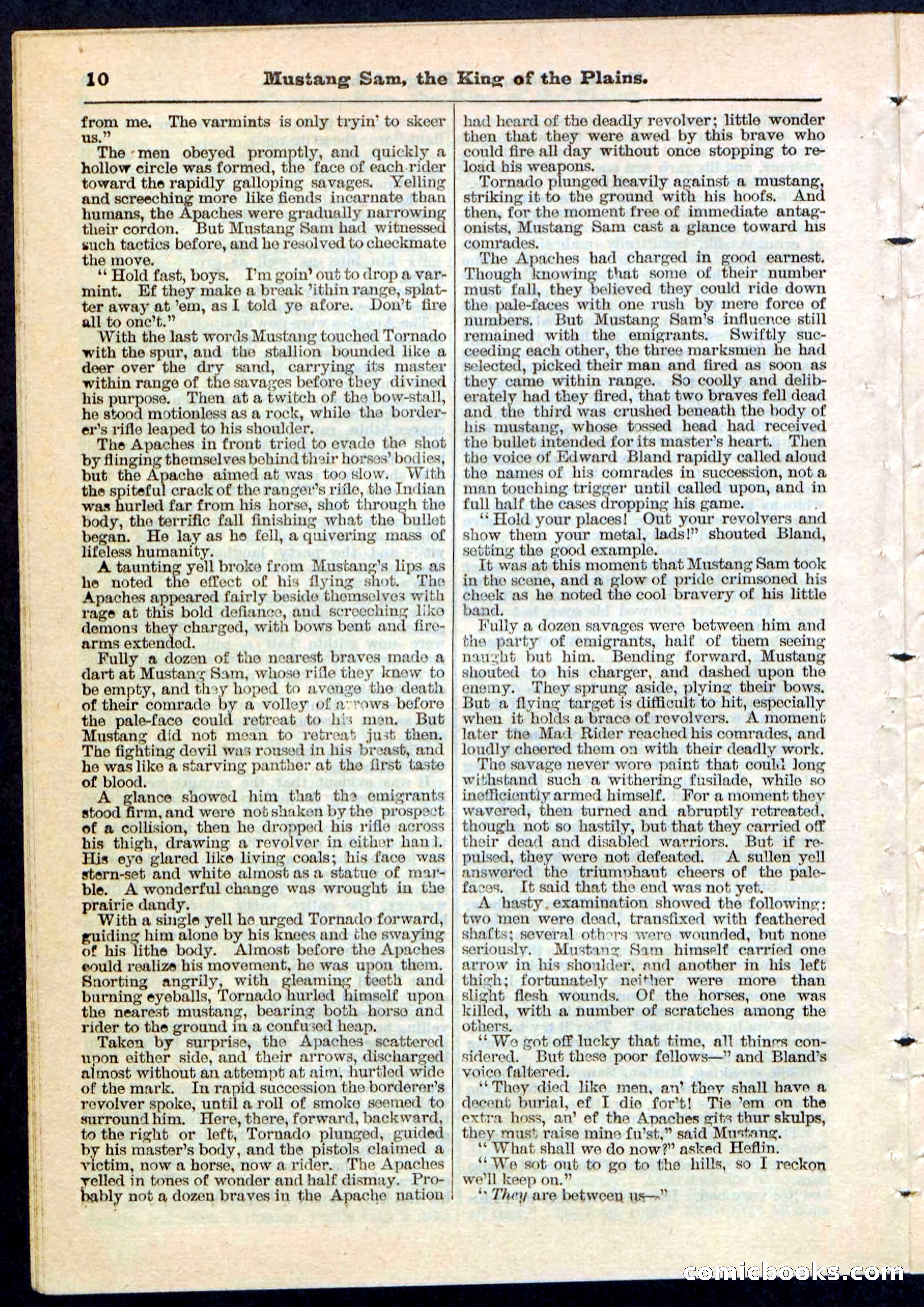 Beadle's Pocket Library No. 91 — page 10 of 32