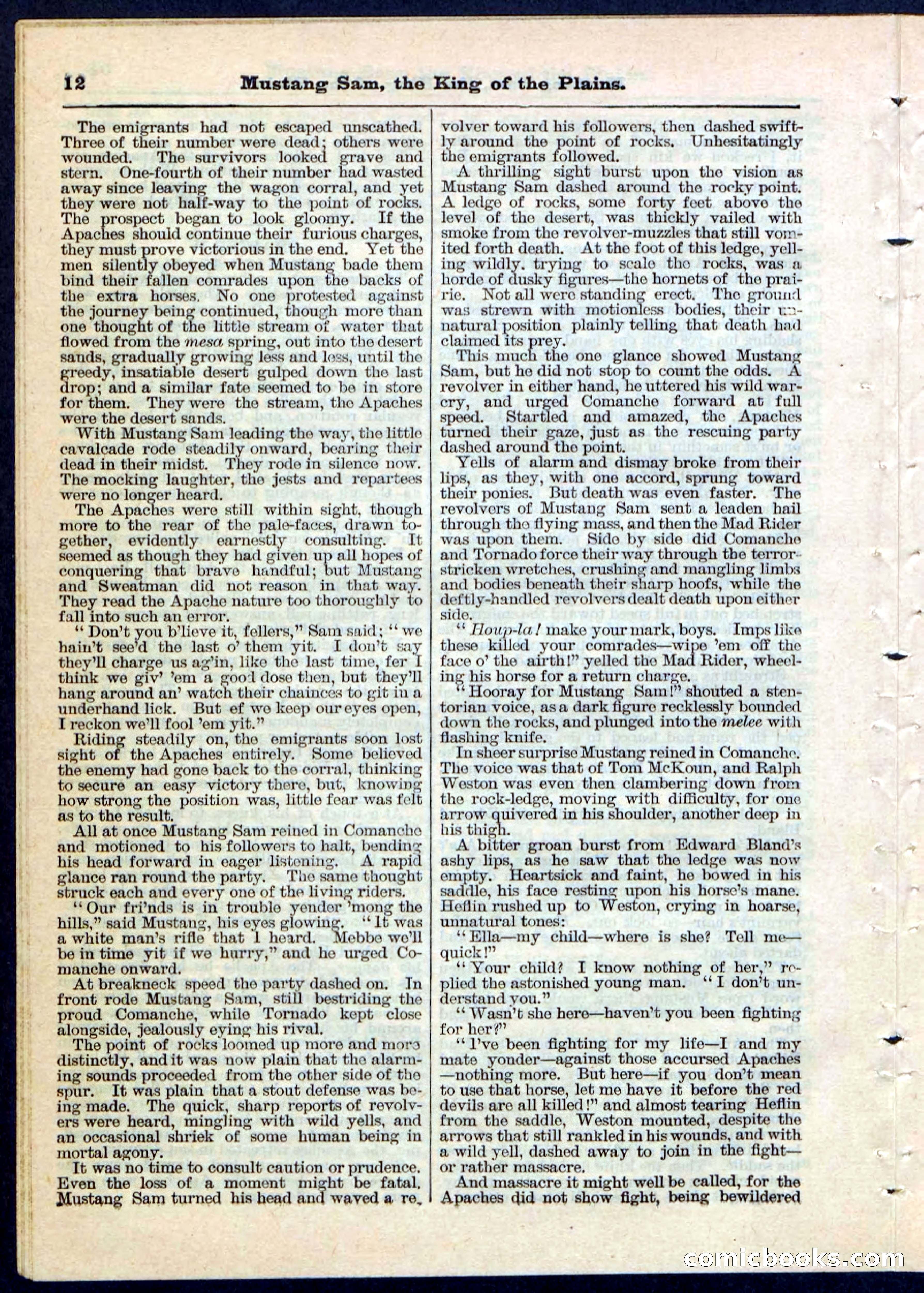Beadle's Pocket Library No. 91 — page 12 of 32