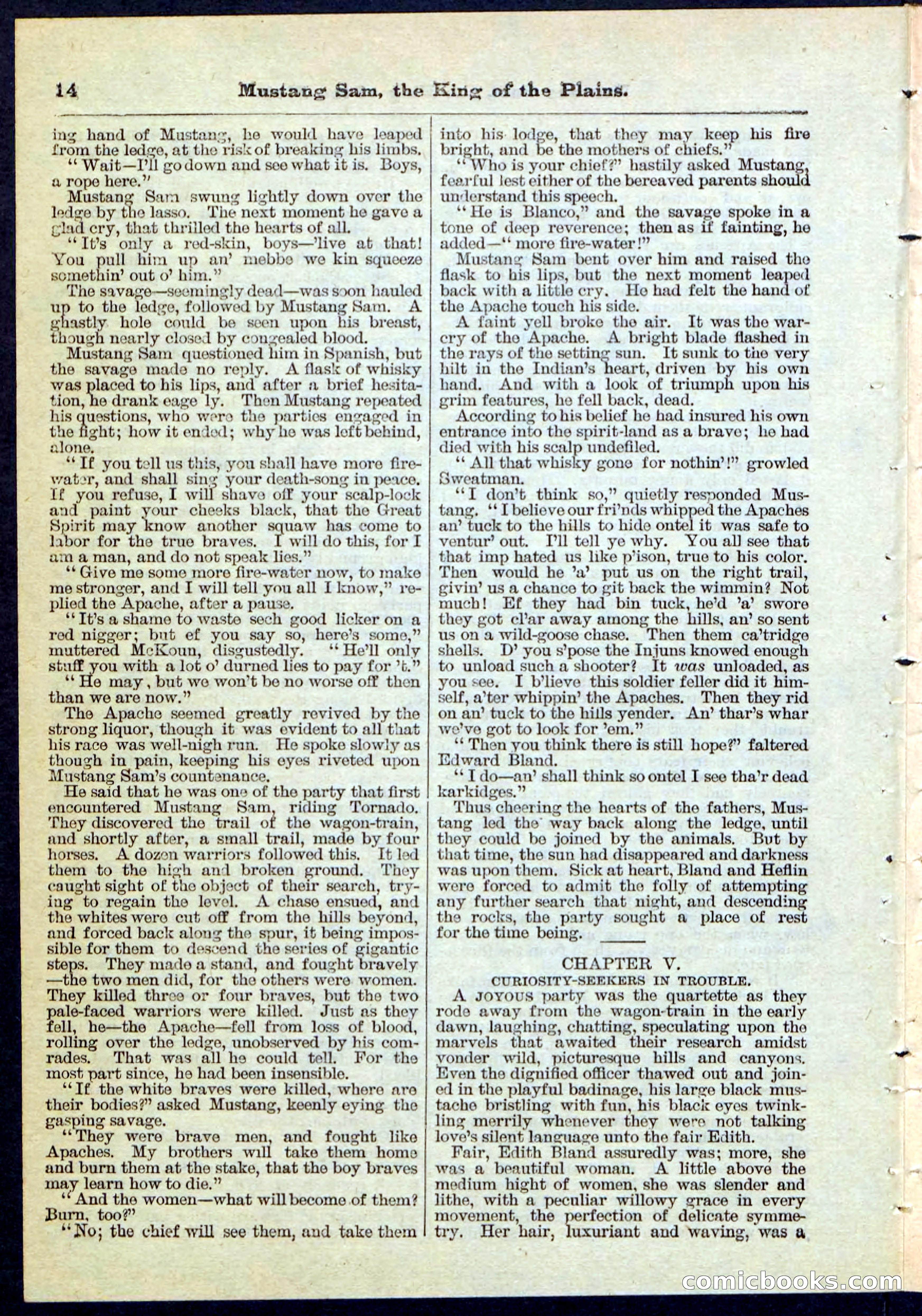 Beadle's Pocket Library No. 91 — page 14 of 32