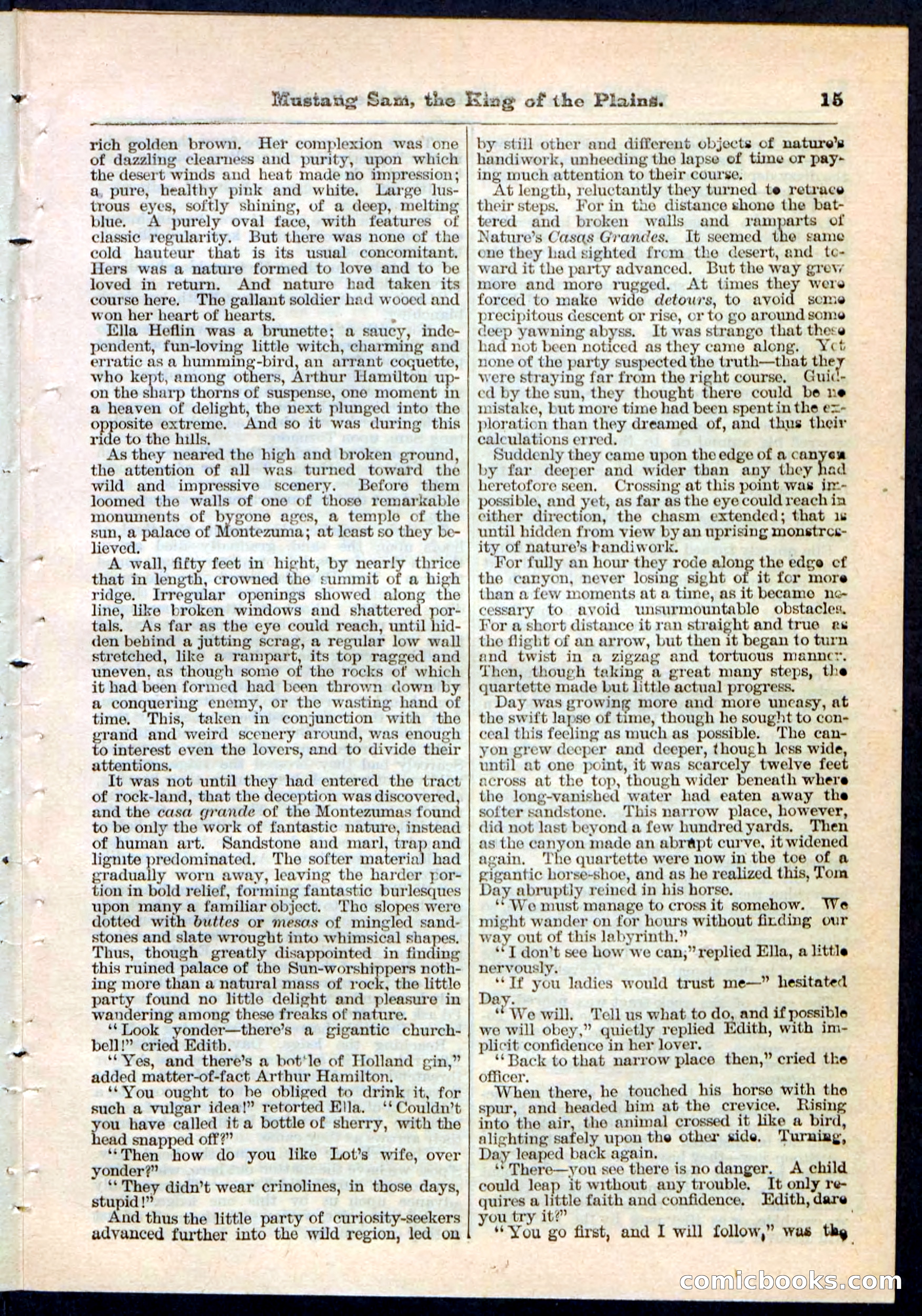 Beadle's Pocket Library No. 91 — page 15 of 32
